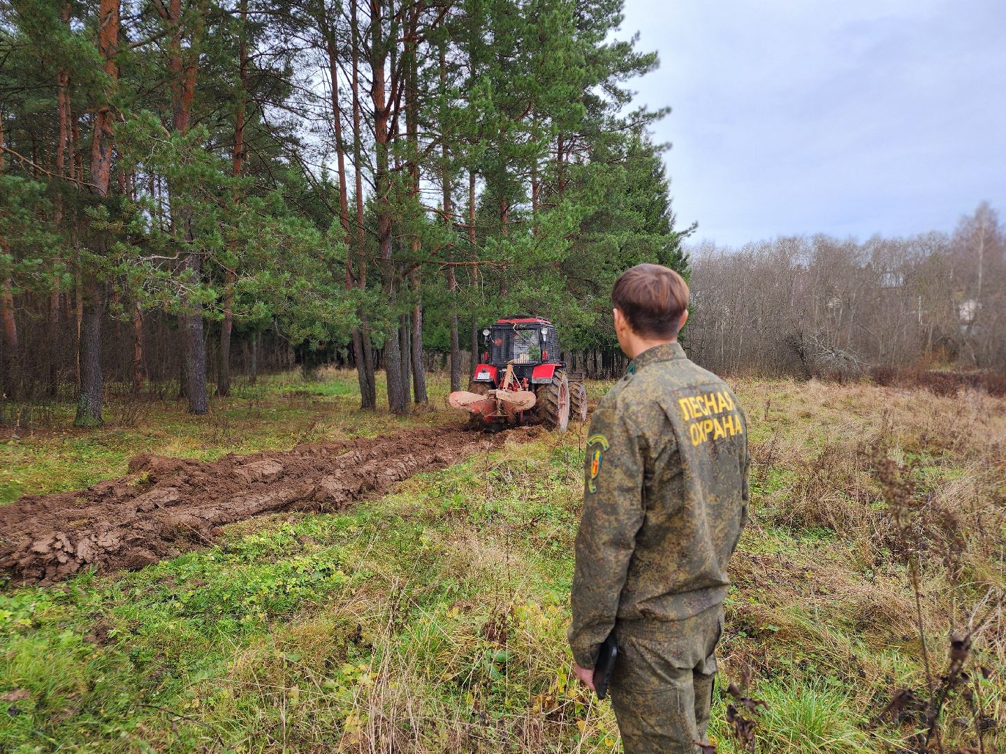 сергиев посад, сергиево-посадский городской округ, мособллес, сергиево-посадское лесничество, лесничий, противопожарные полосы, лесопарк загорское море, семхоз,минерализованные полосы,