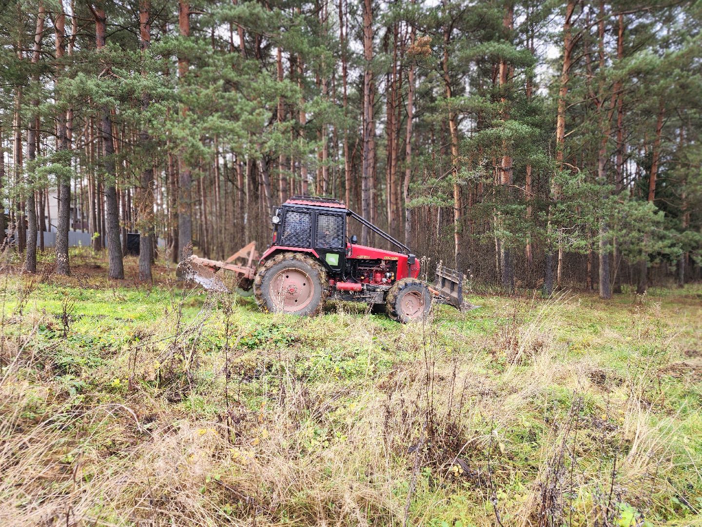 сергиев посад, сергиево-посадский городской округ, мособллес, сергиево-посадское лесничество, лесничий, противопожарные полосы, лесопарк загорское море, семхоз,минерализованные полосы,