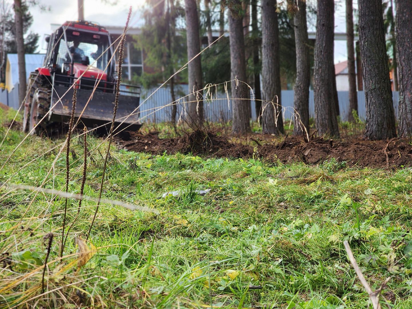 сергиев посад, сергиево-посадский городской округ, мособллес, сергиево-посадское лесничество, лесничий, противопожарные полосы, лесопарк загорское море, семхоз,минерализованные полосы,