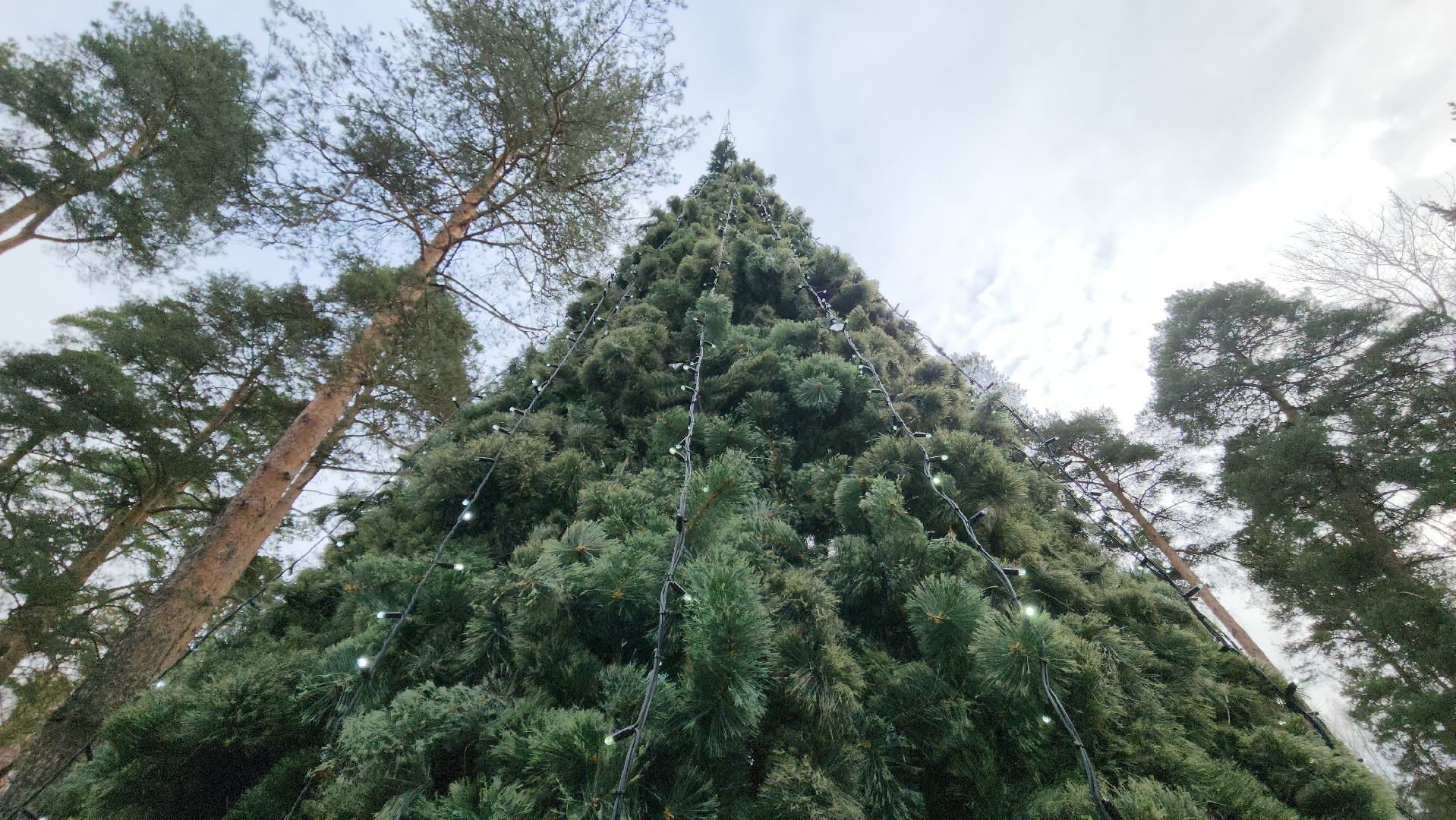 детский городок сказочный, новый год, украшение елки,