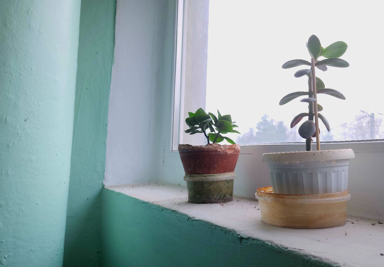 ремонт подъездов, ликино-дулево, орехово-зуевский округ,