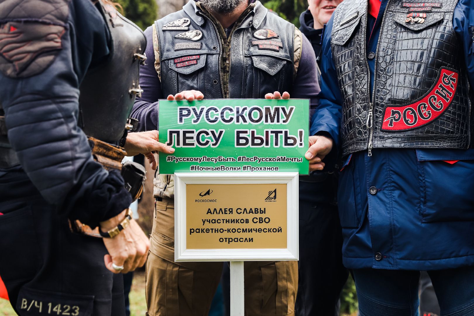 лес, деревья, память, сво,