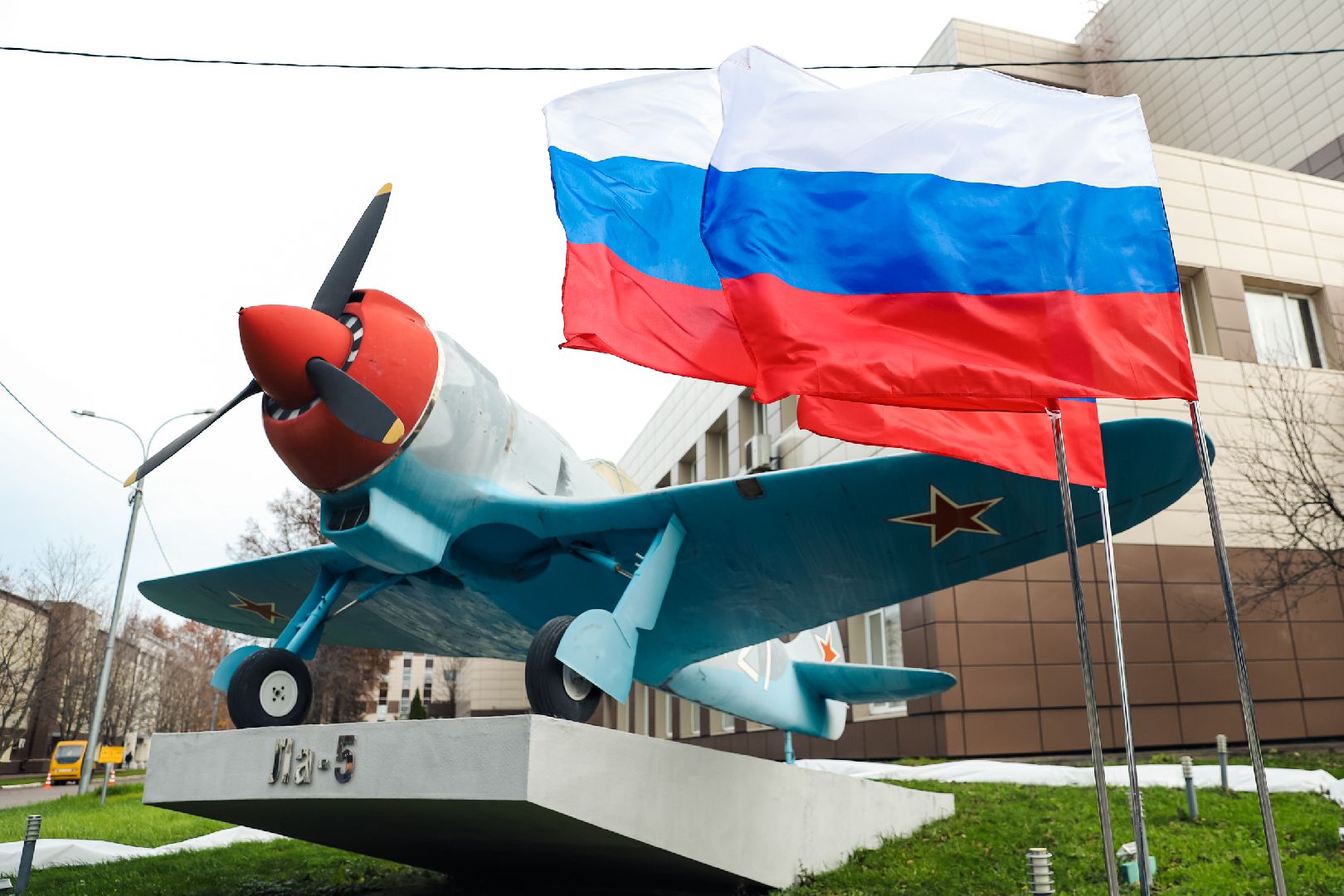 лес, деревья, память, сво,