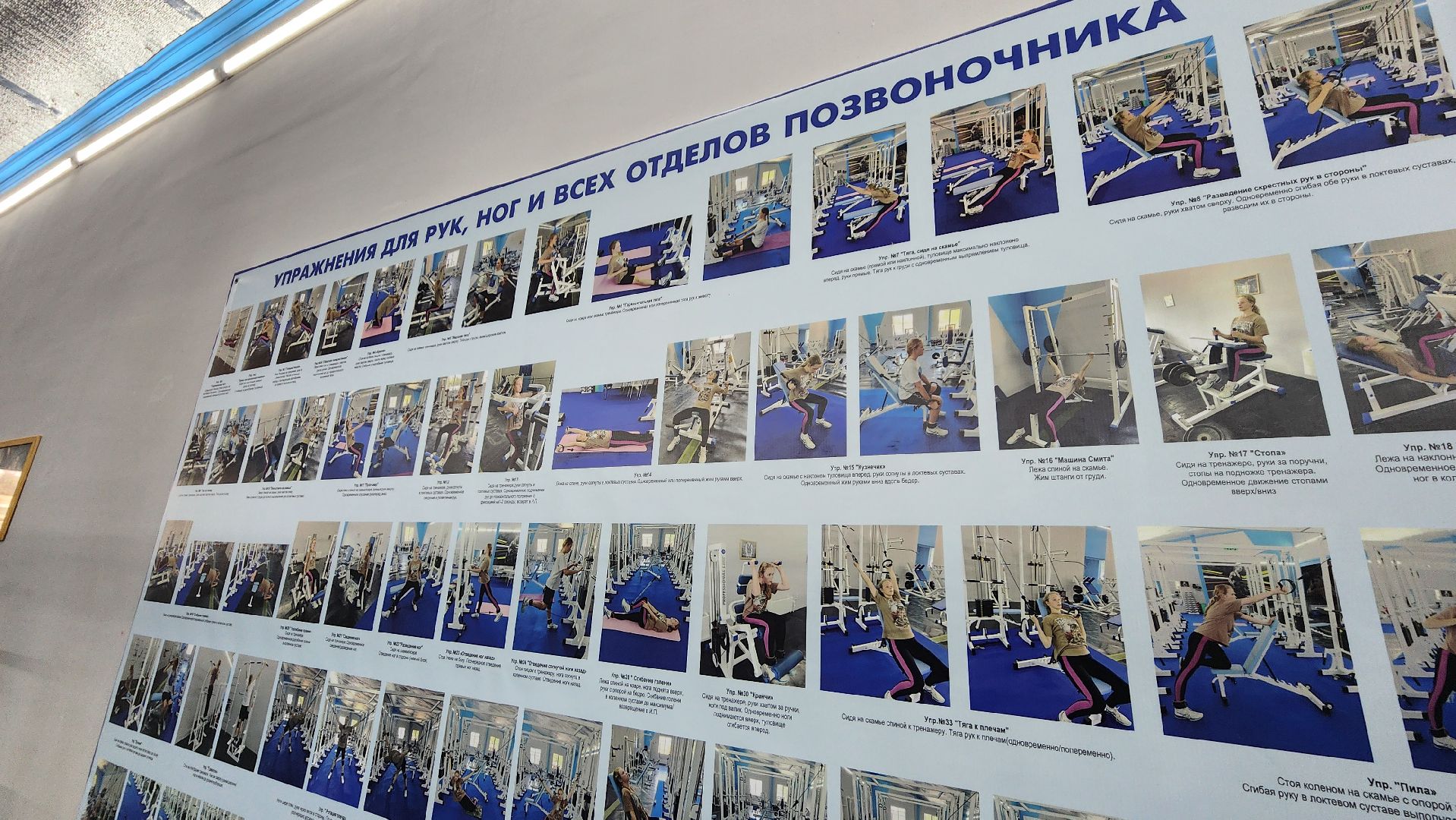 протвино, поддержка военнослужащих, центр кинезитерапии,