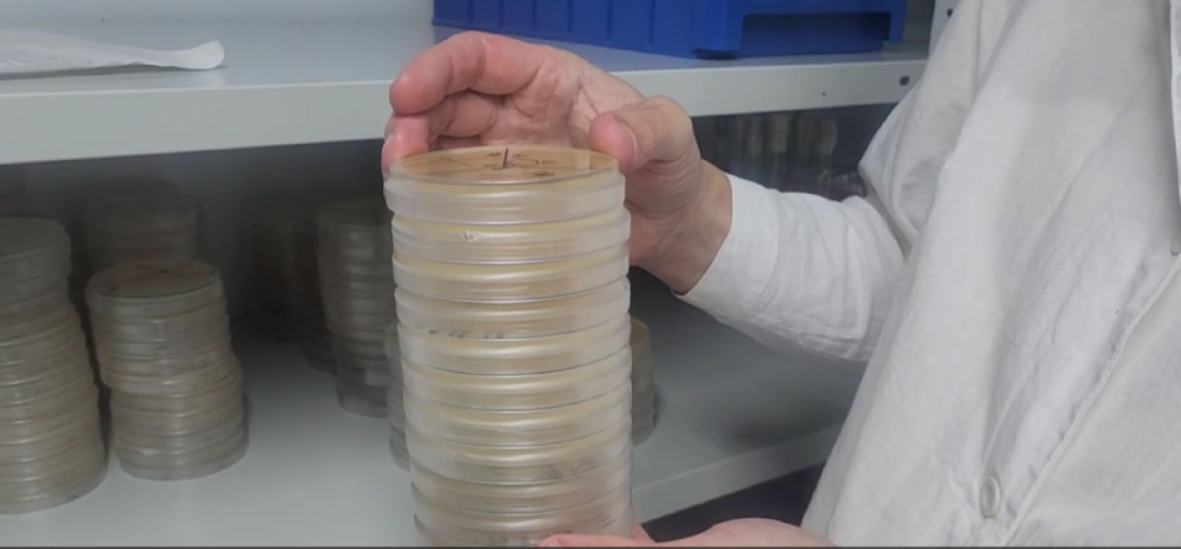 наука, ученые, портретный репортаж, пущино, серпухов, наукоград,