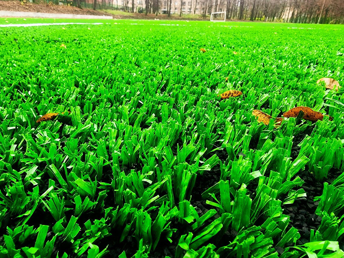 пущино, серпухов, спорт, школа,