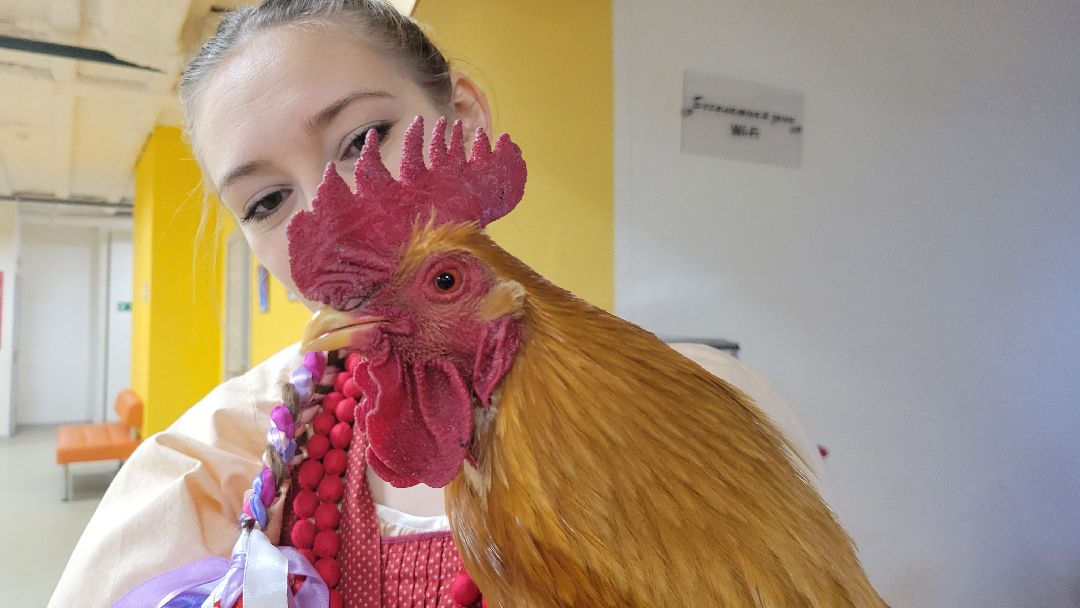 Красногорск