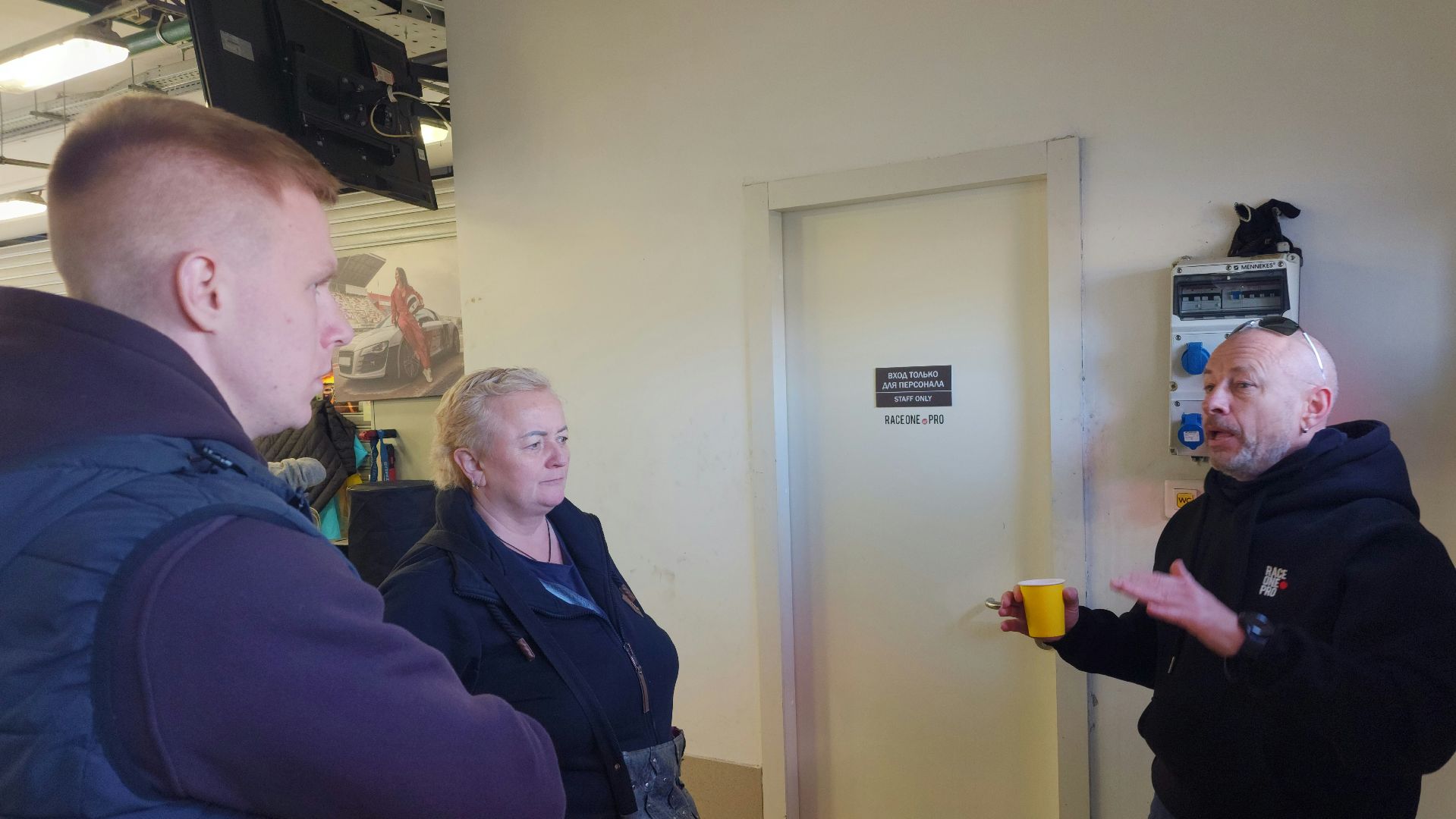 волоколамск, выставка картин, гохуа, передернина,