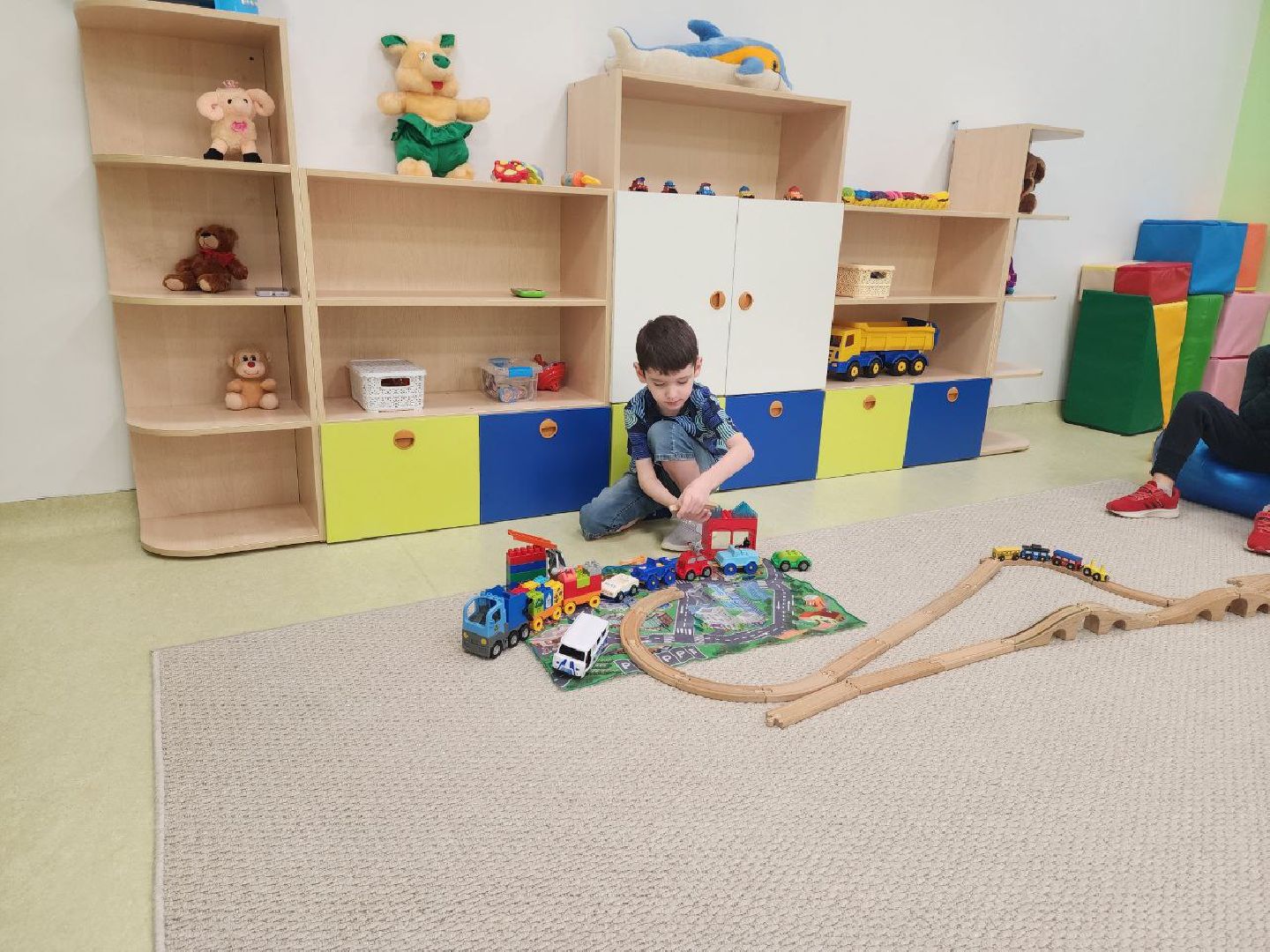 солнечногорск, образование, аутизм,