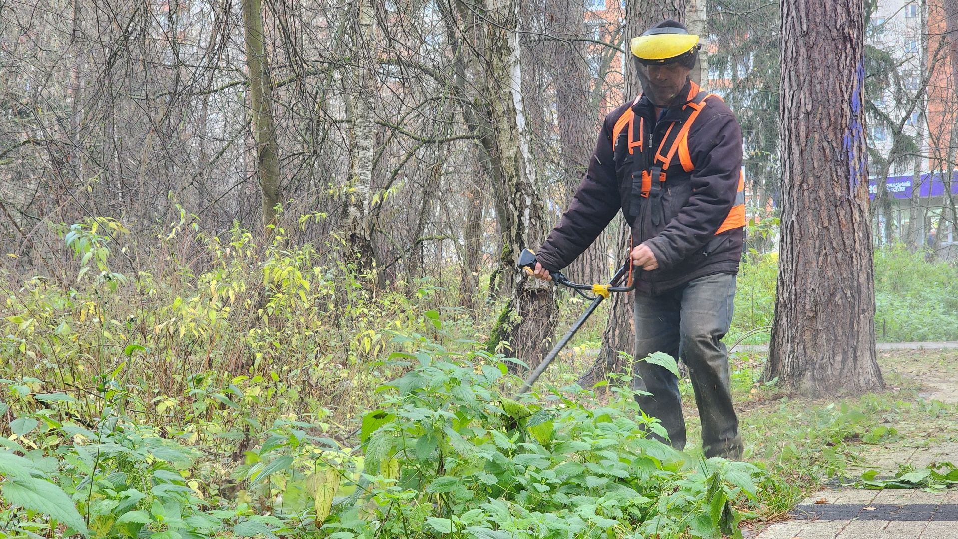 протвино, благоустройство, осенняя уборка,