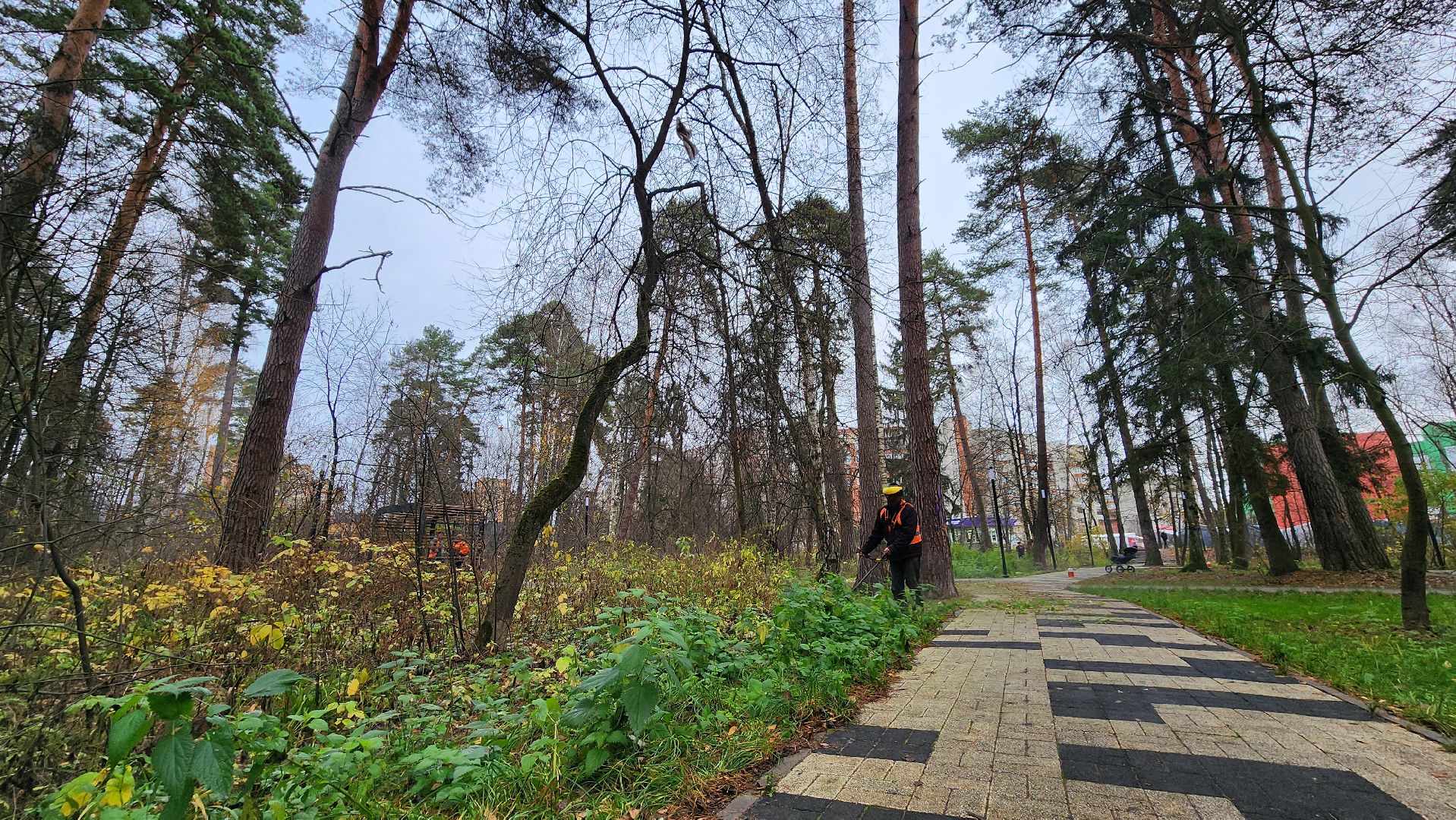 протвино, благоустройство, осенняя уборка,