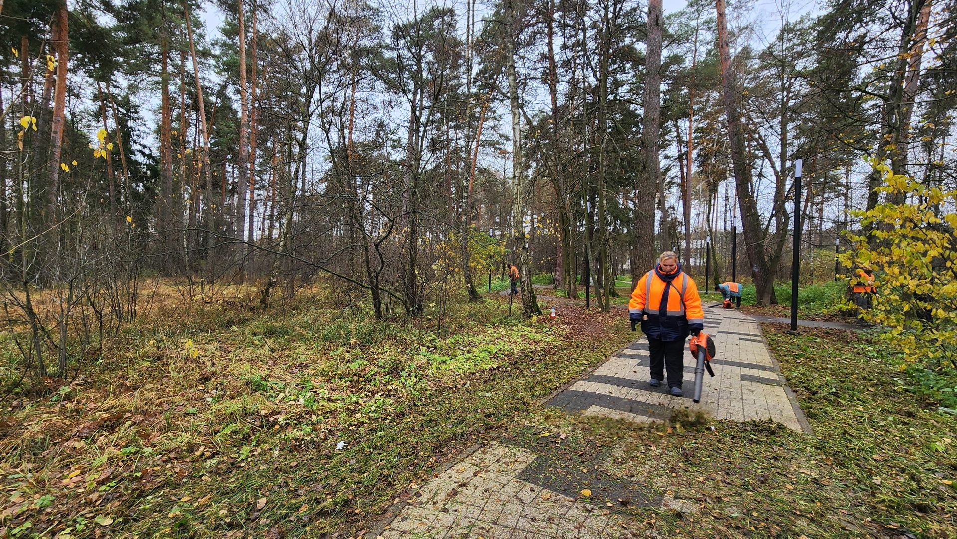 протвино, благоустройство, осенняя уборка,