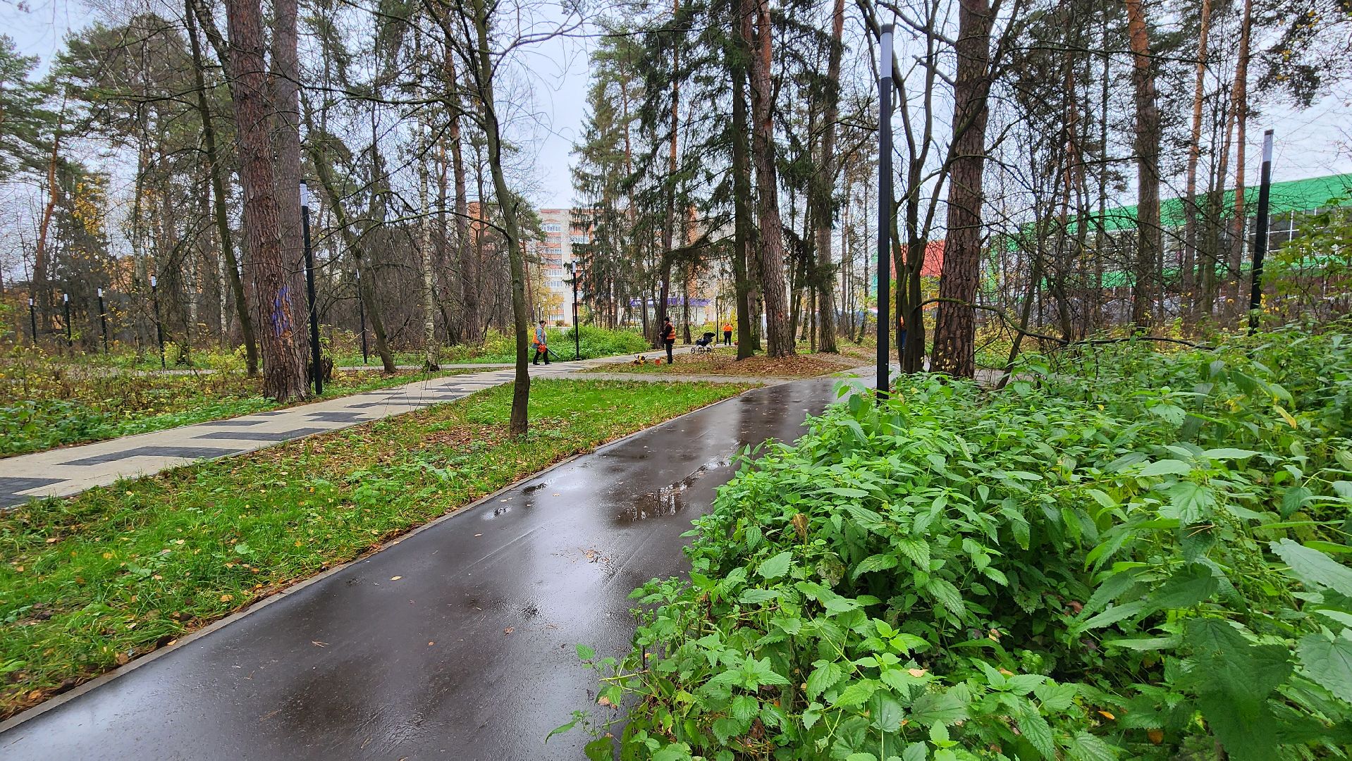 протвино, благоустройство, осенняя уборка,