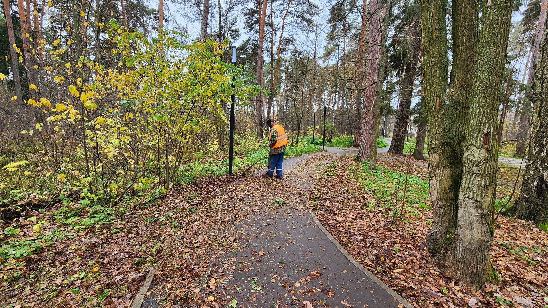 протвино, благоустройство, осенняя уборка,