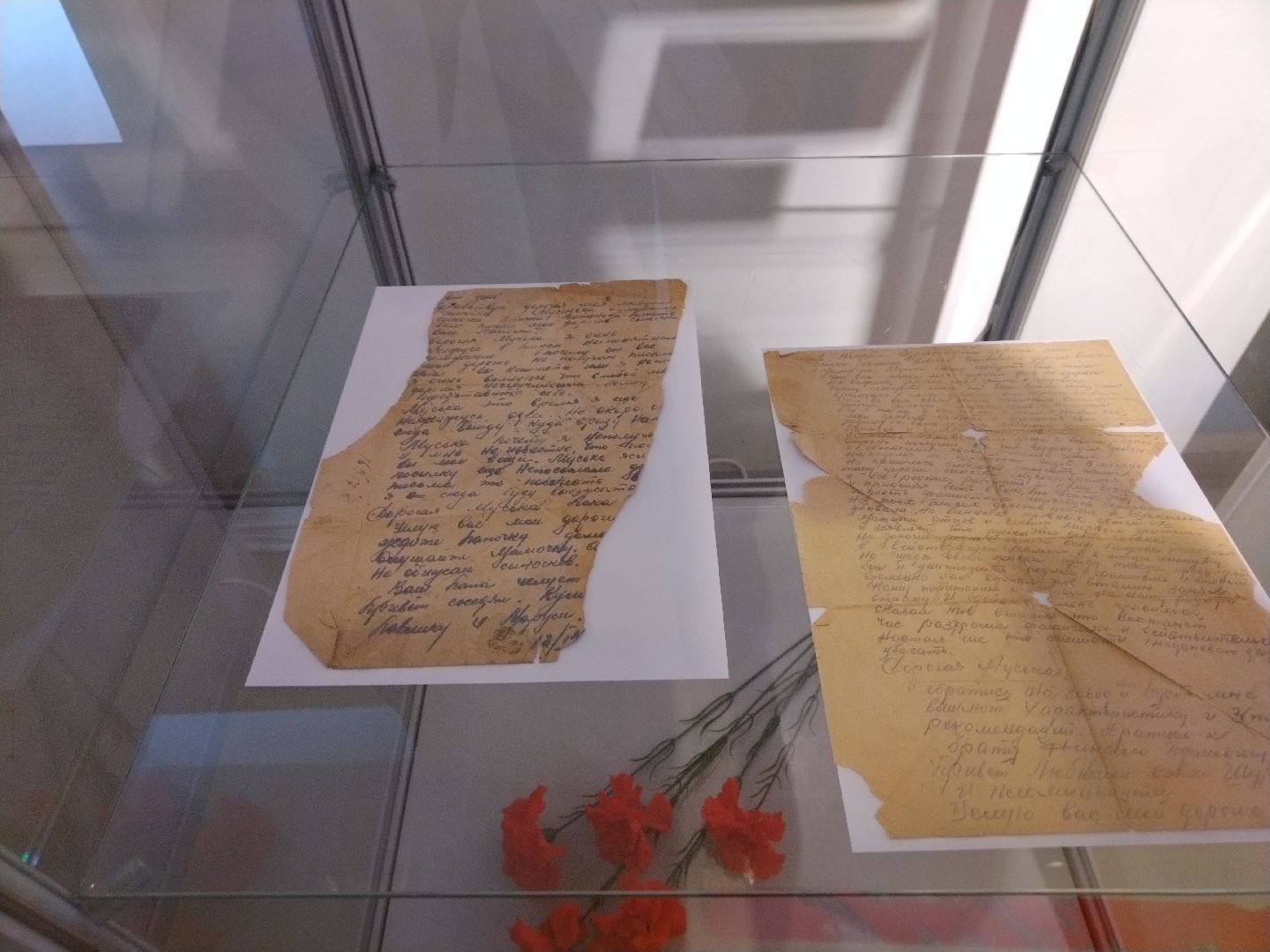 Мытищи, 9 мая, День Победы, письма с фронта, МГИ