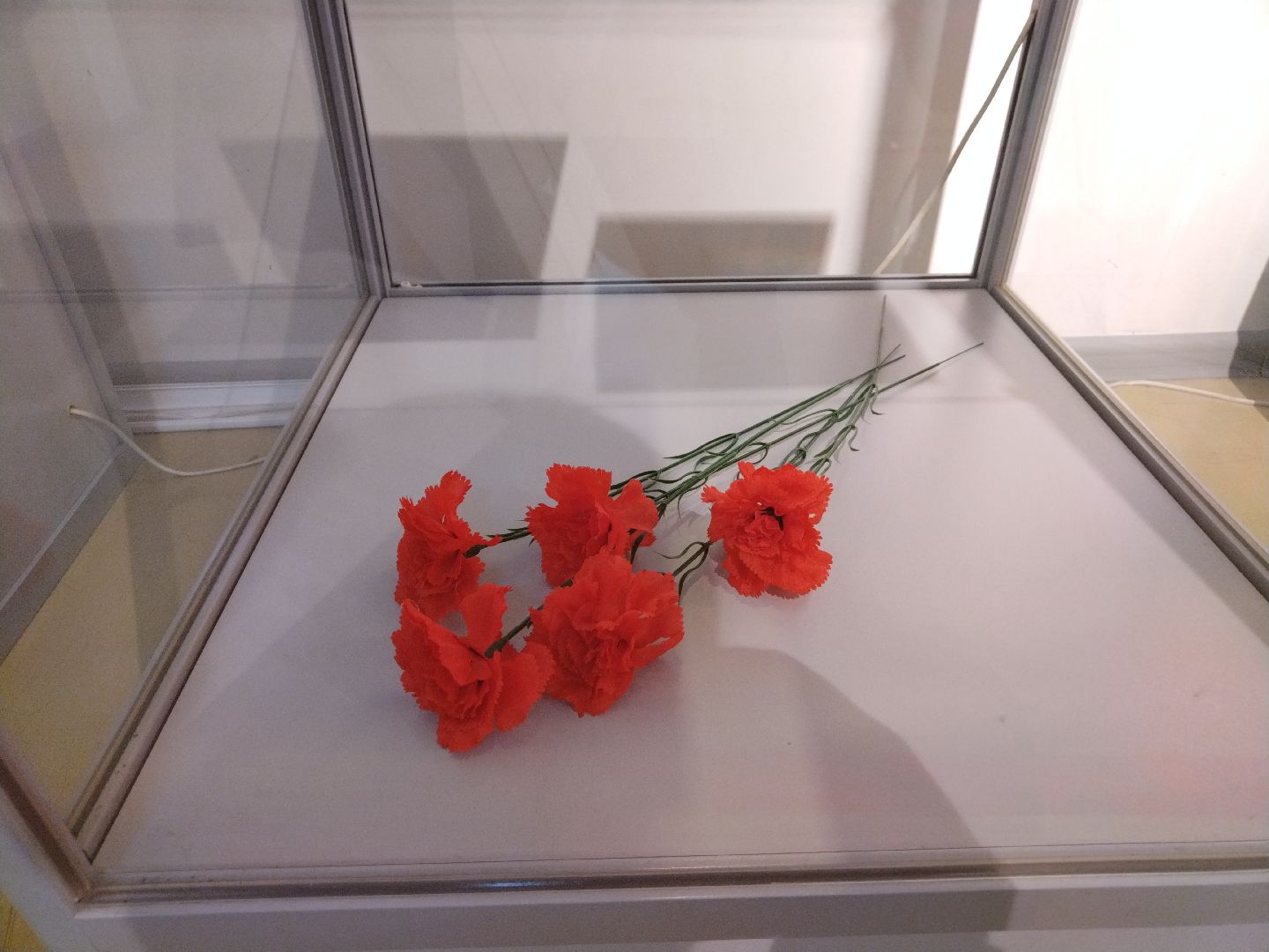 Мытищи, 9 мая, День Победы, письма с фронта, МГИ