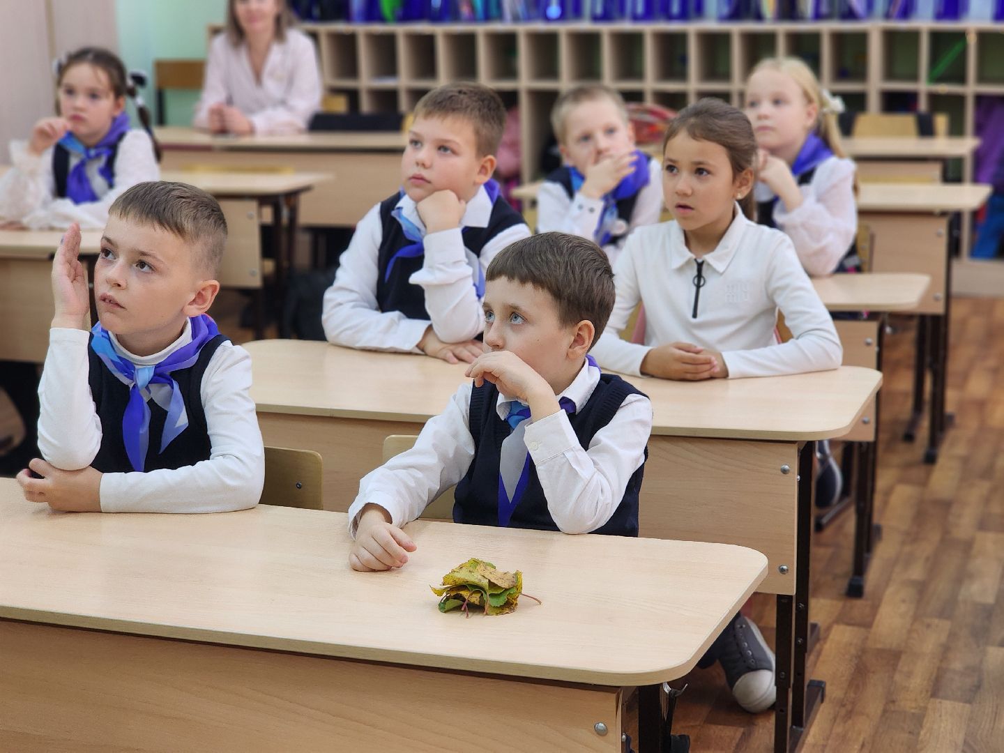 сергиев посад, сергиево-посадский городской округ, краснозаводск, краснозаводская школа 1, школьное лесничество, профориентационный урок, лесники, лесничий,