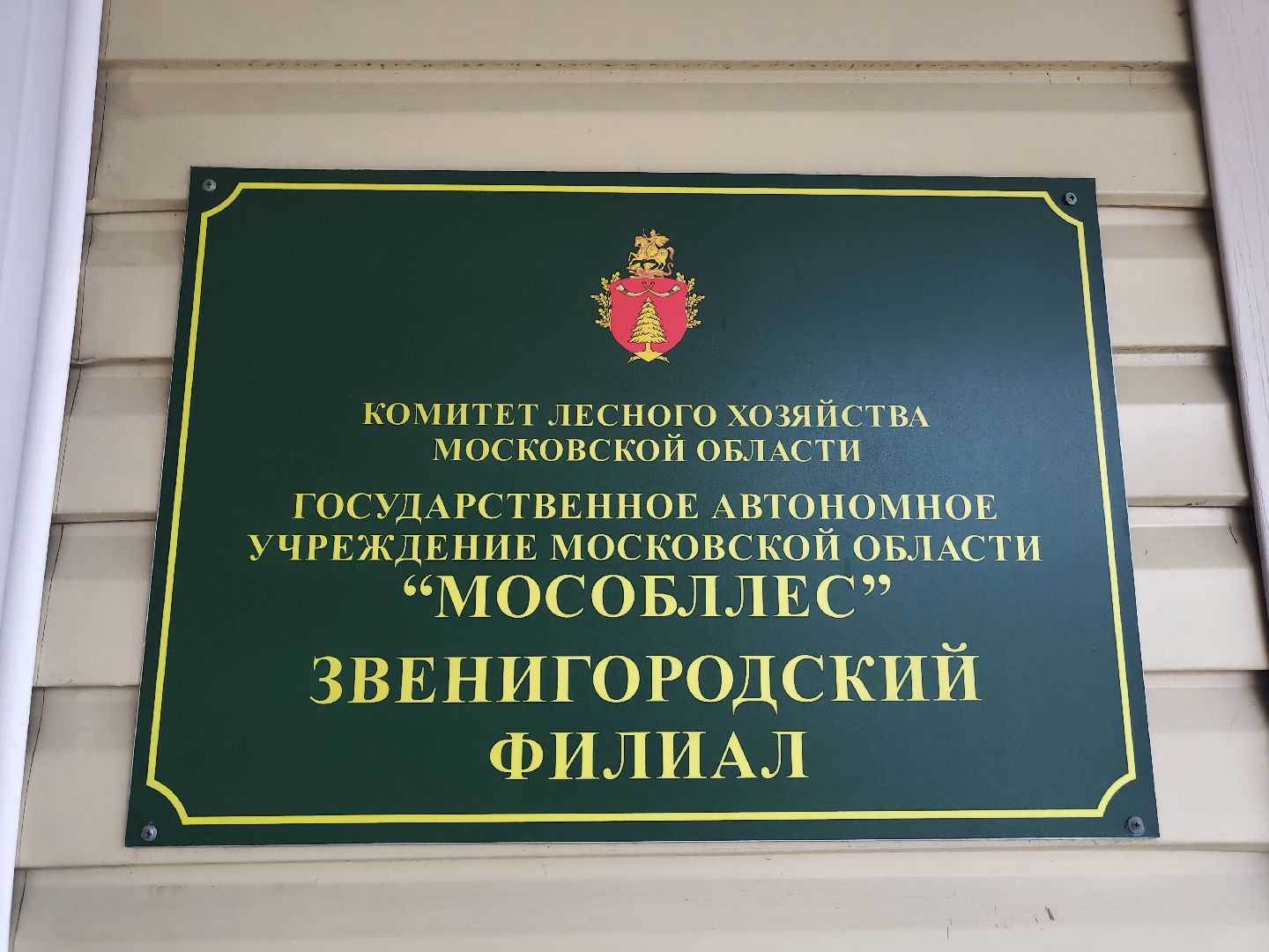 одинцовский городской округ, звенигородское лесничество, санитарная вырубка, мособллес,