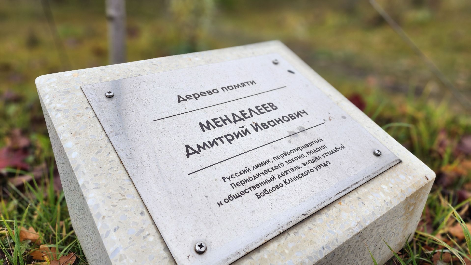 клин, туризм, маршрут, туристическая премия,