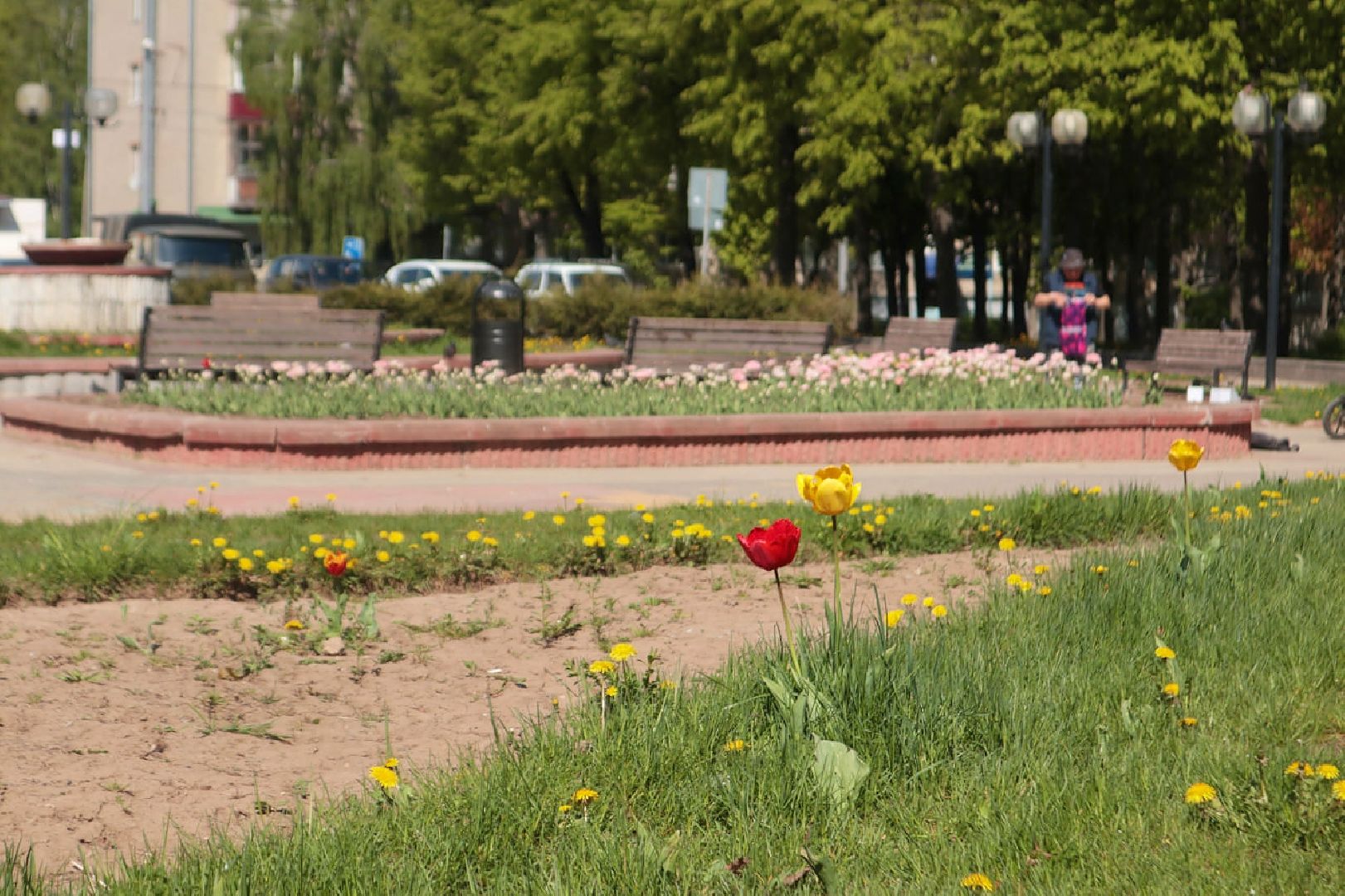 Пущино, благоустройство, цветники