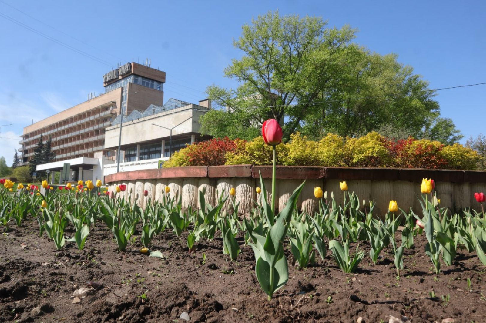 Пущино, благоустройство, цветники