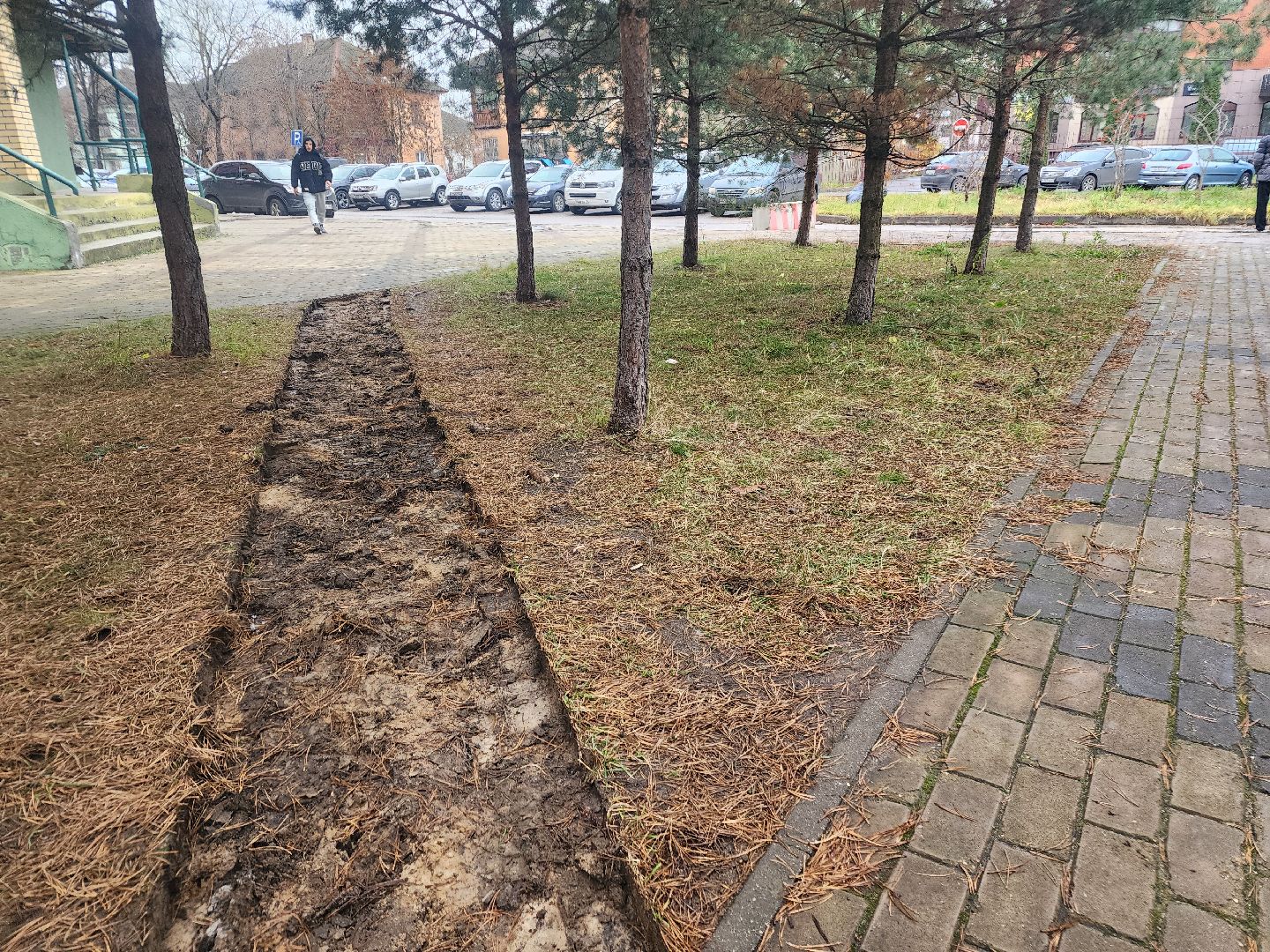 фрязино, народная тропа, асфальтирование тротуаров, благоустройство,