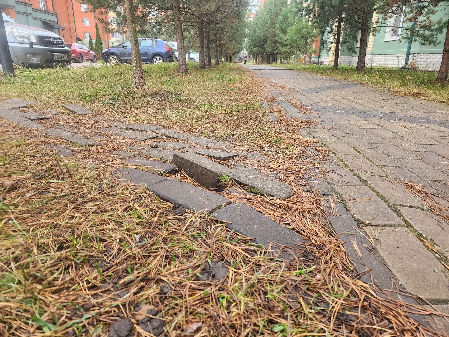 фрязино, народная тропа, асфальтирование тротуаров, благоустройство,