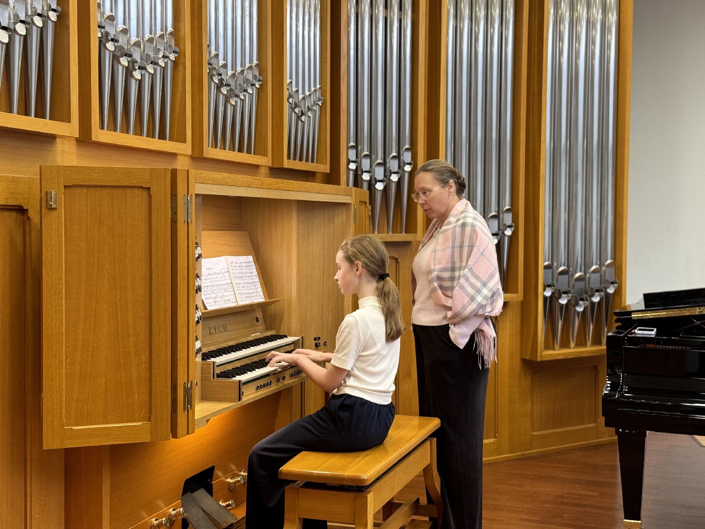 музыкальные инструменты, ленинский городской округ, детская школа искусств,