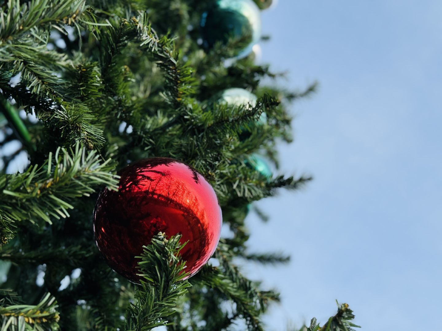 Раменское, раменский городской парк, новогодние елки, зима в подмосковье, Зима в Подмосковье 2025,