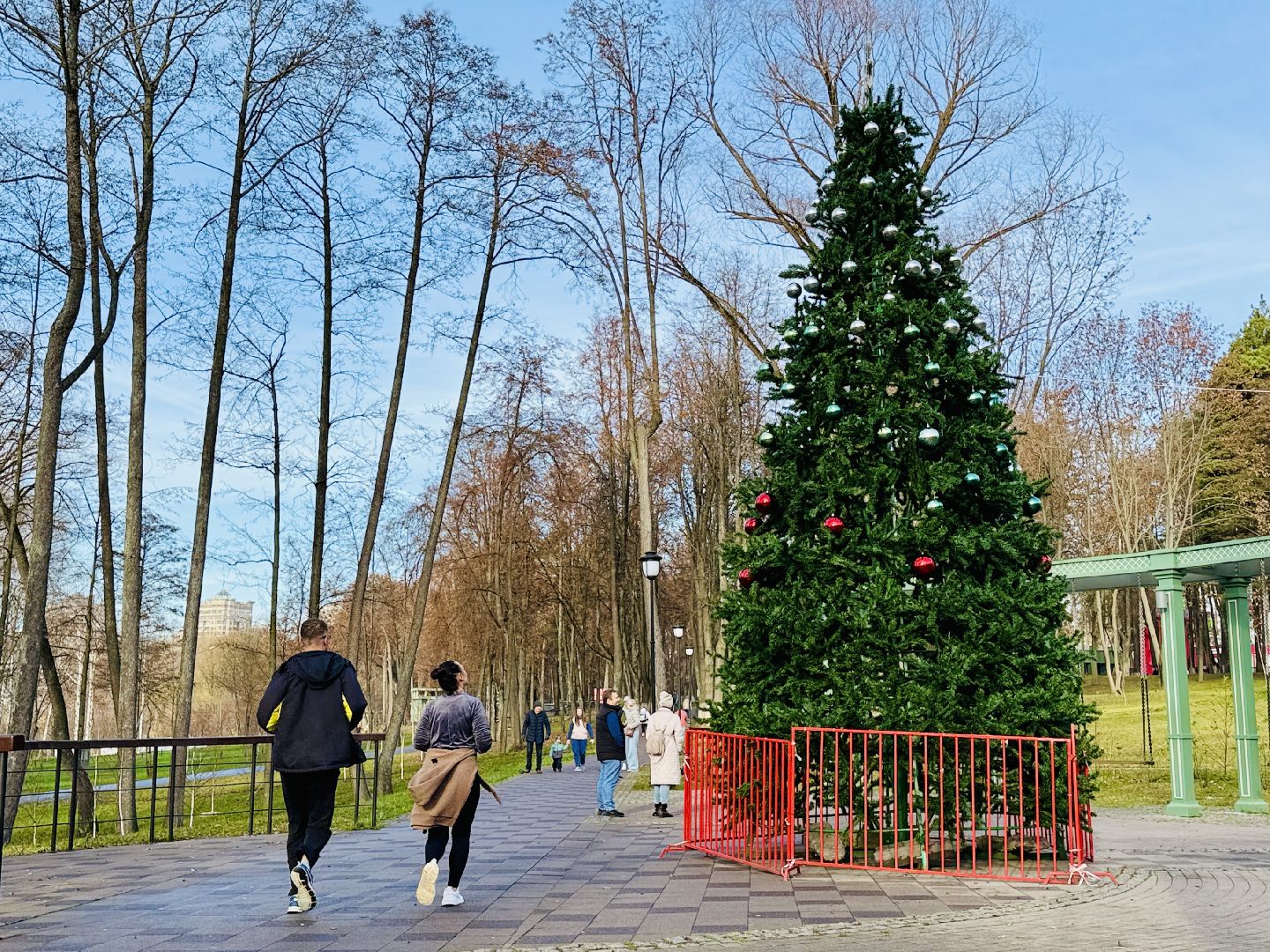 Раменское, раменский городской парк, новогодние елки, зима в подмосковье, Зима в Подмосковье 2025,
