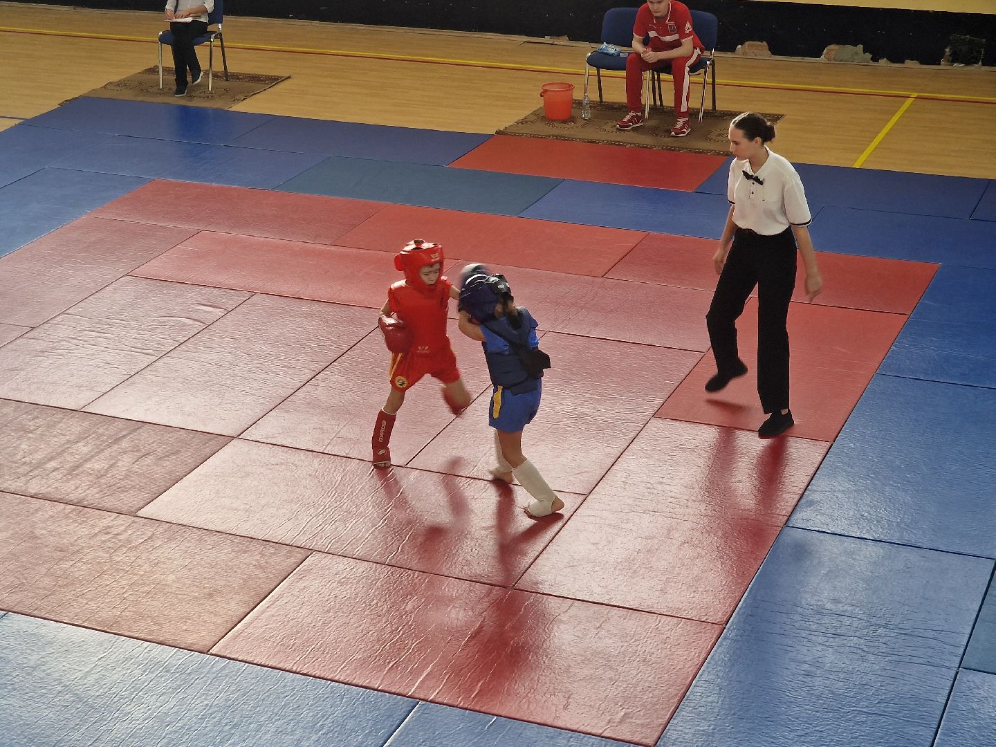 воскресенск, ушу-саньда, кубок химика,