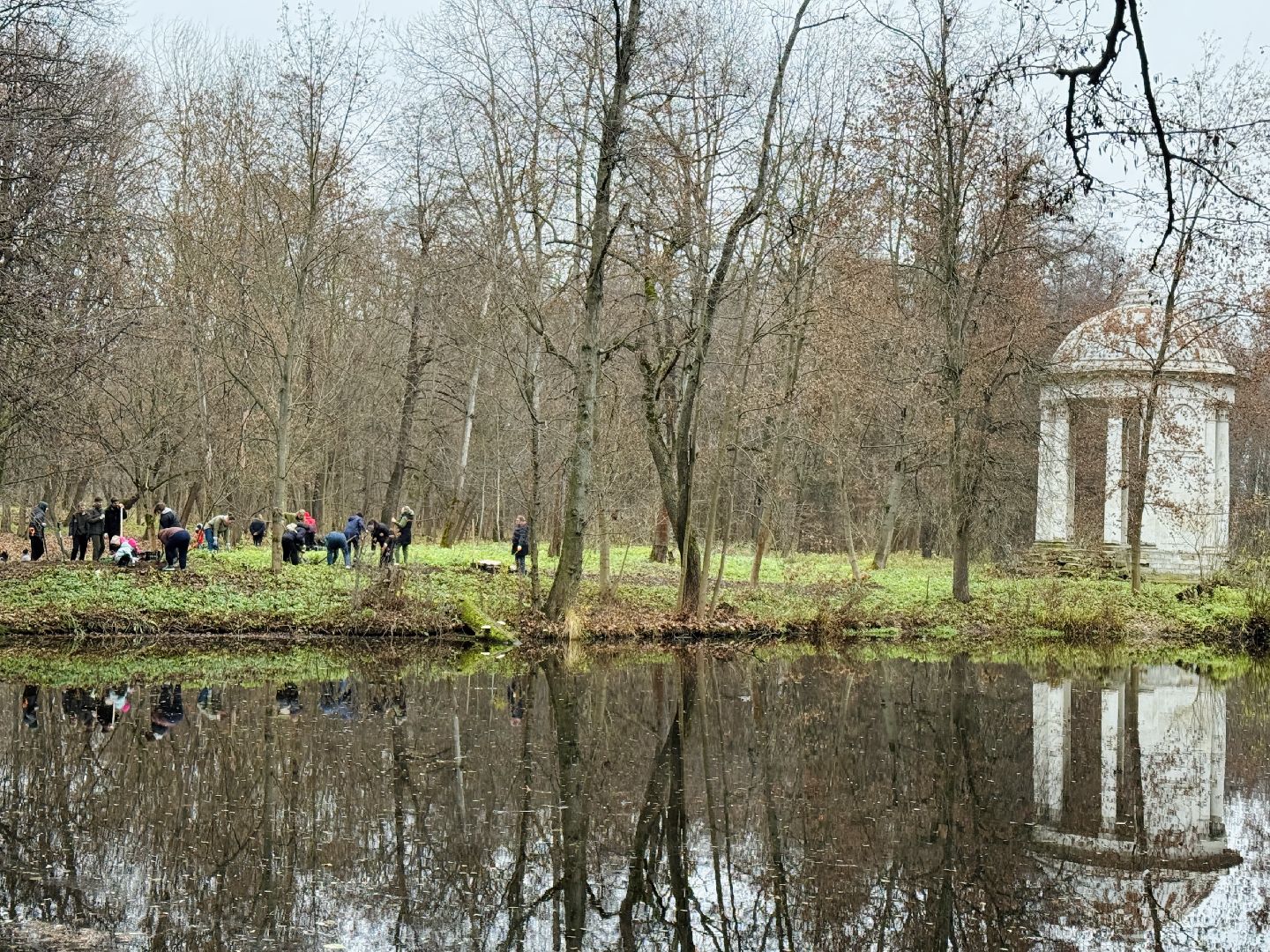 раменское, усадьба быково, тюльпановый остров, savebykovo,