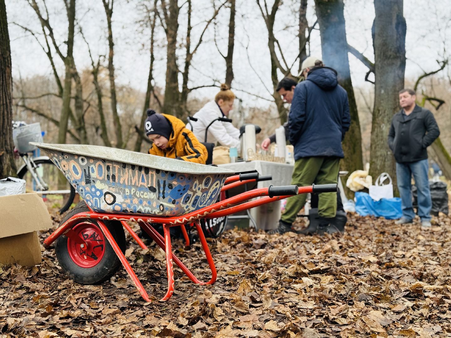 раменское, усадьба быково, тюльпановый остров, savebykovo,