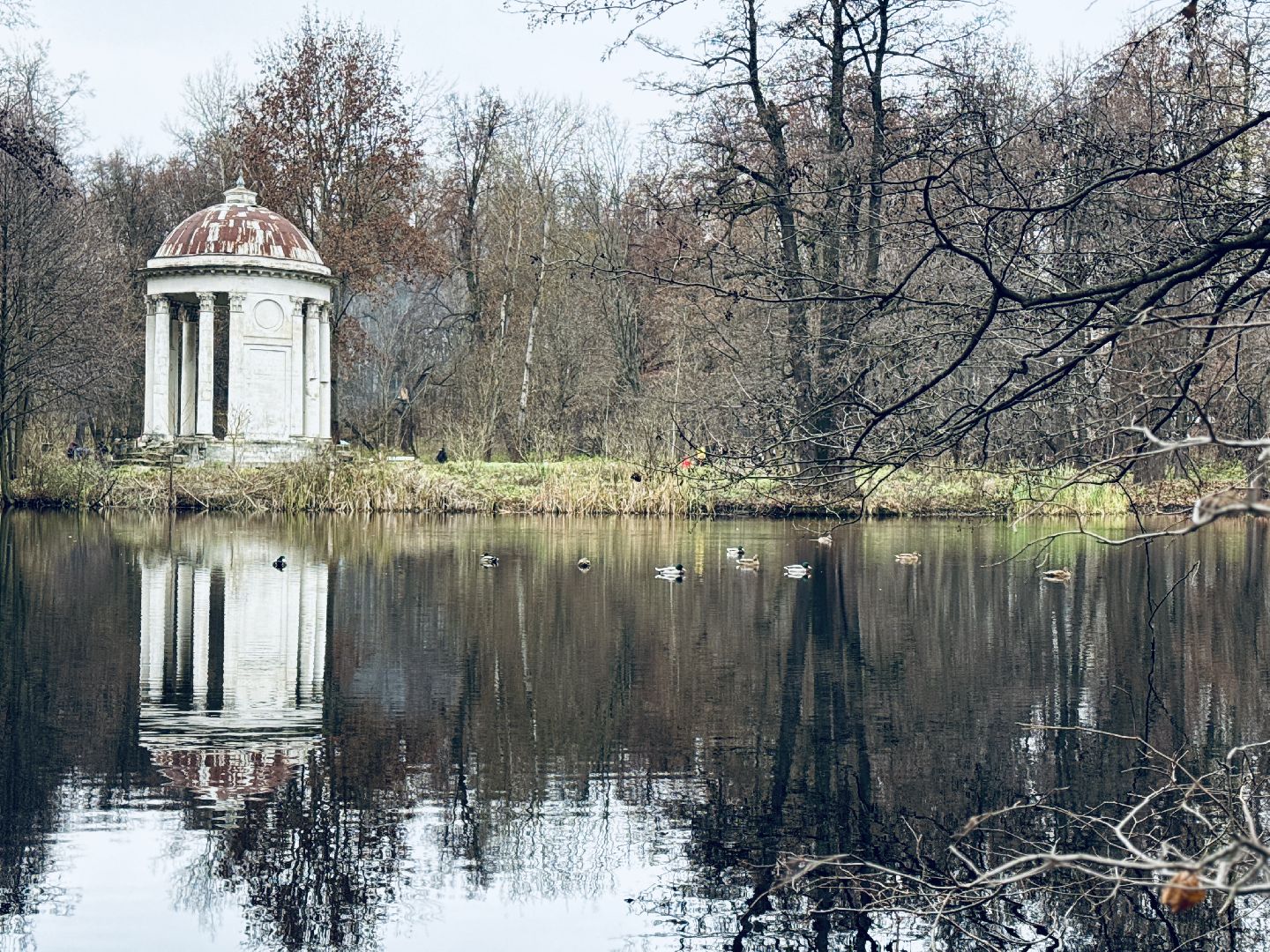 раменское, усадьба быково, тюльпановый остров, savebykovo,