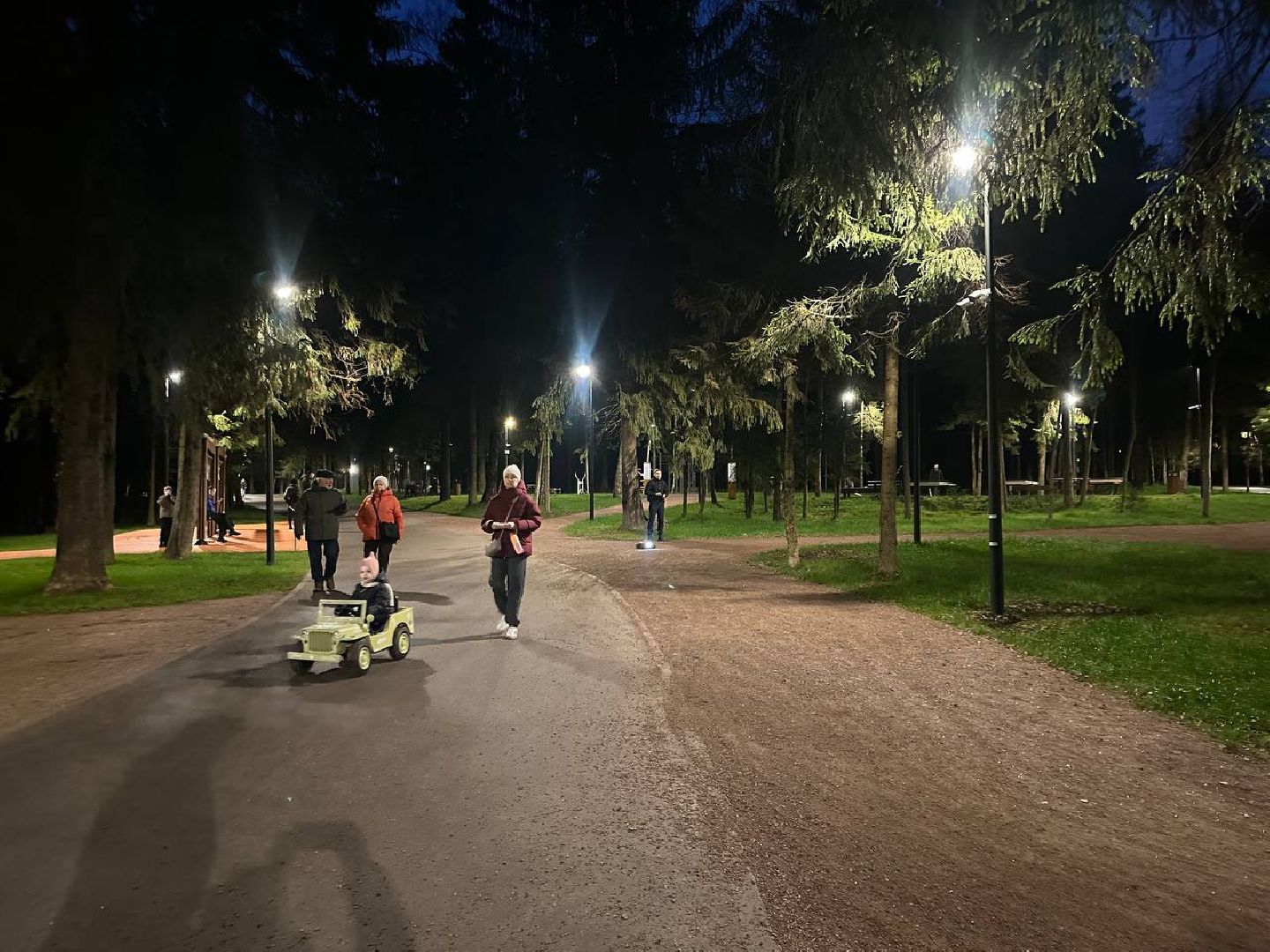 Истра, Лесопарк, Прокат инвентаря, Веломобили, Парк,