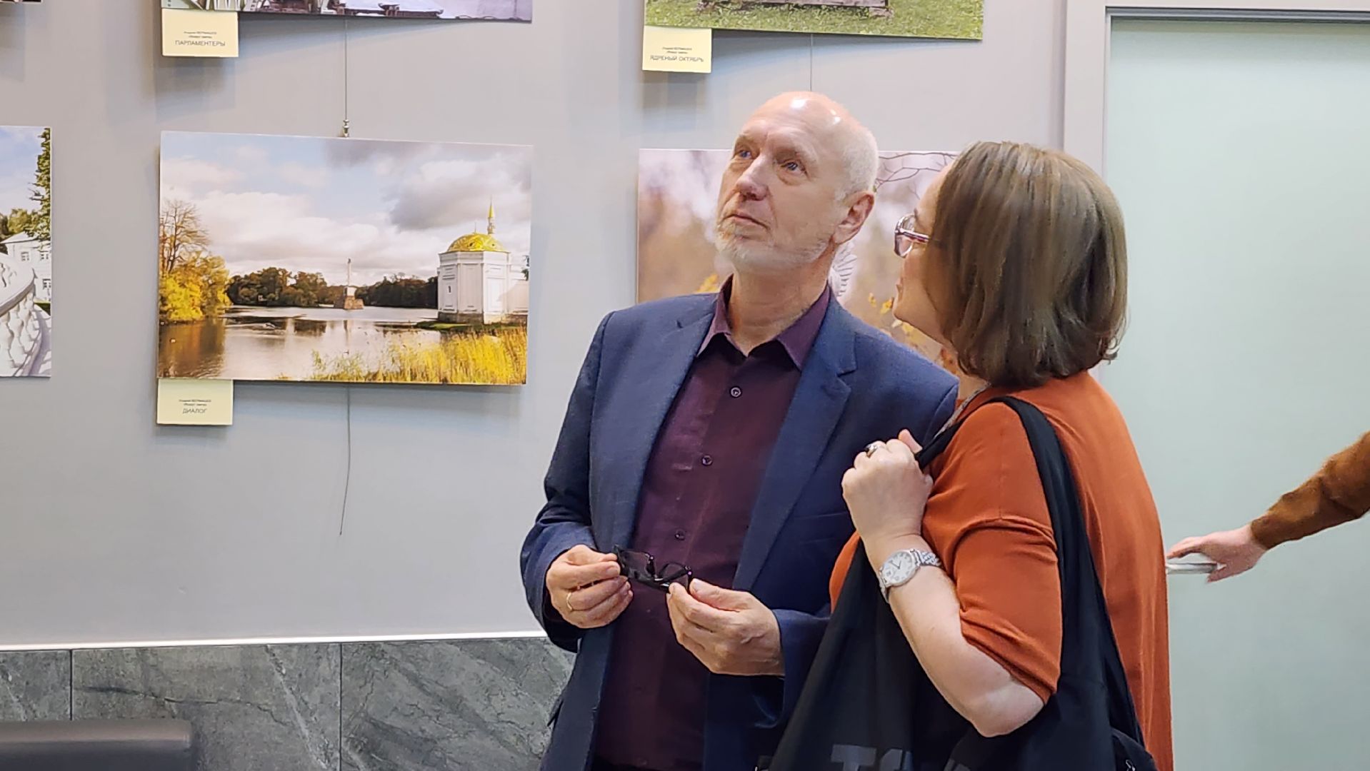 истра, библиотека, вернисаж,