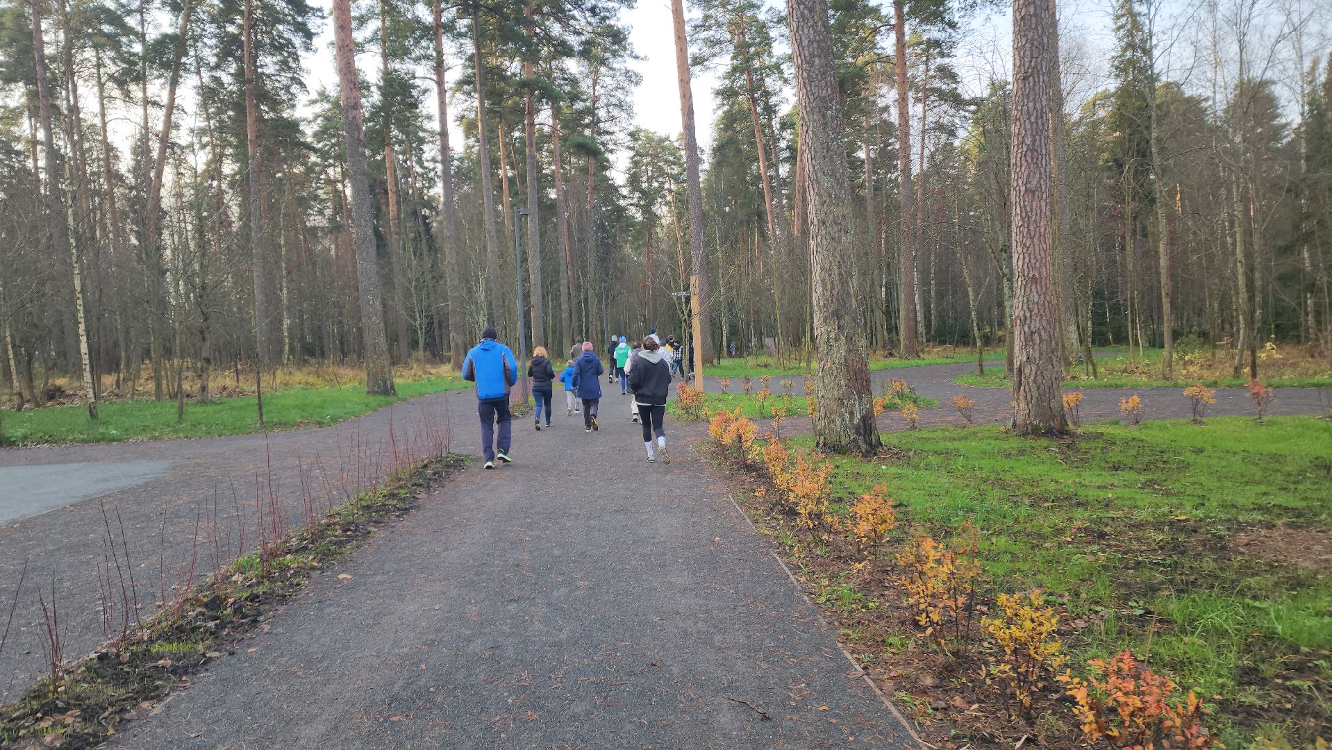 красноармейск, городской округ пушкинский, банный лес, зож, утренняя пробежка,