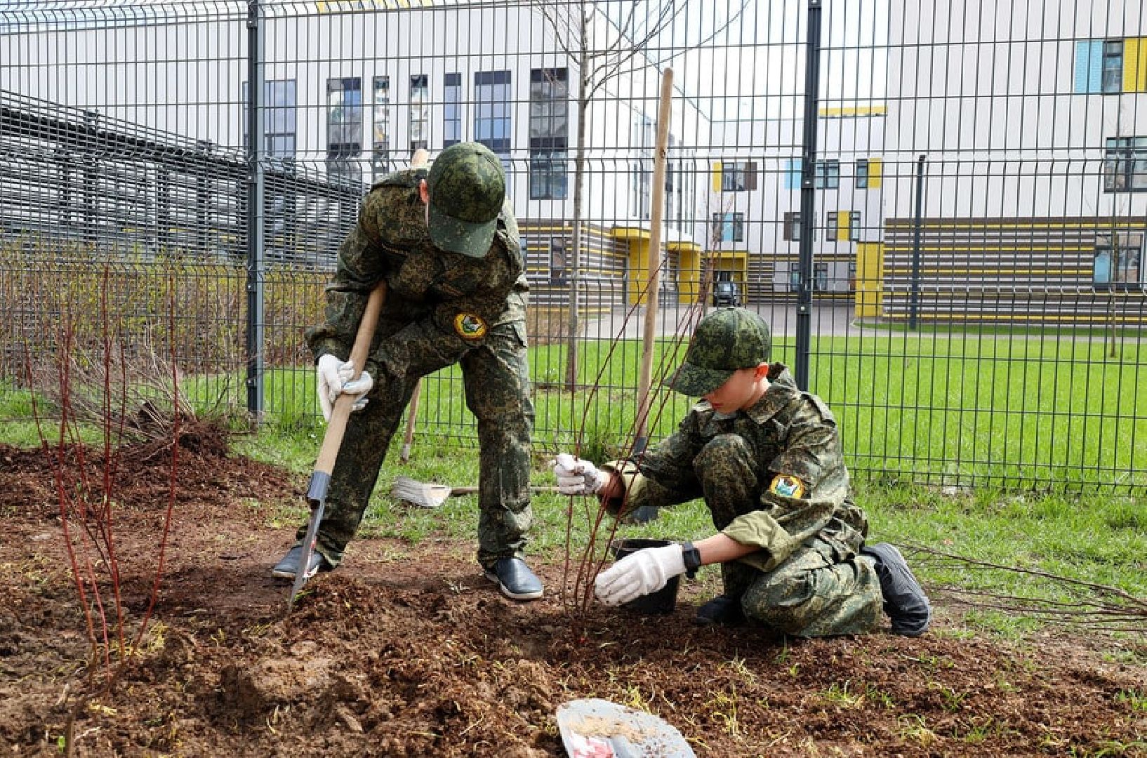 Мытищи, Лес Победы, Экология