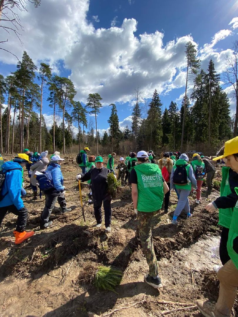 Мытищи, Лес Победы, Экология