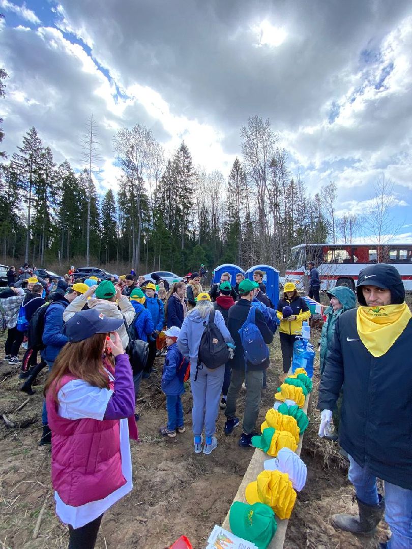 Мытищи, Лес Победы, Экология