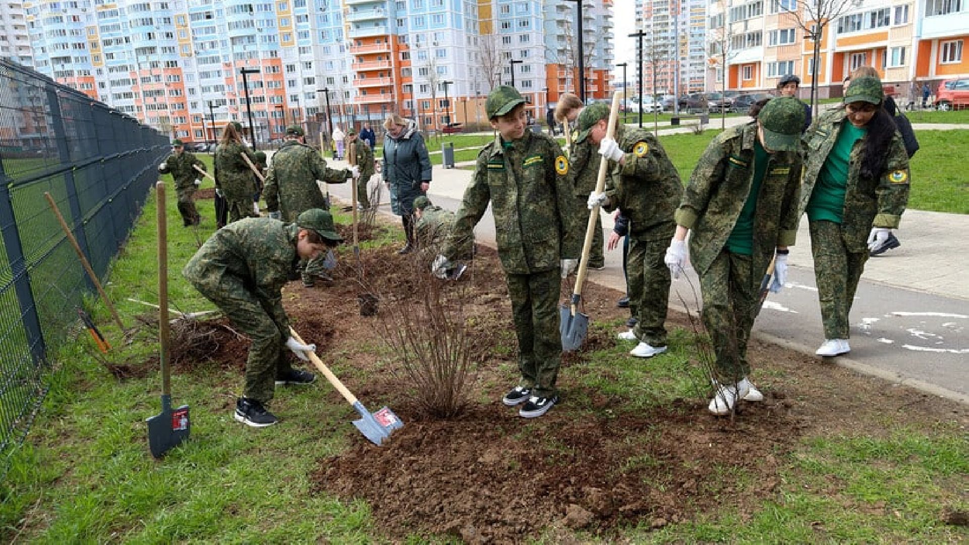 Мытищи, Лес Победы, Экология