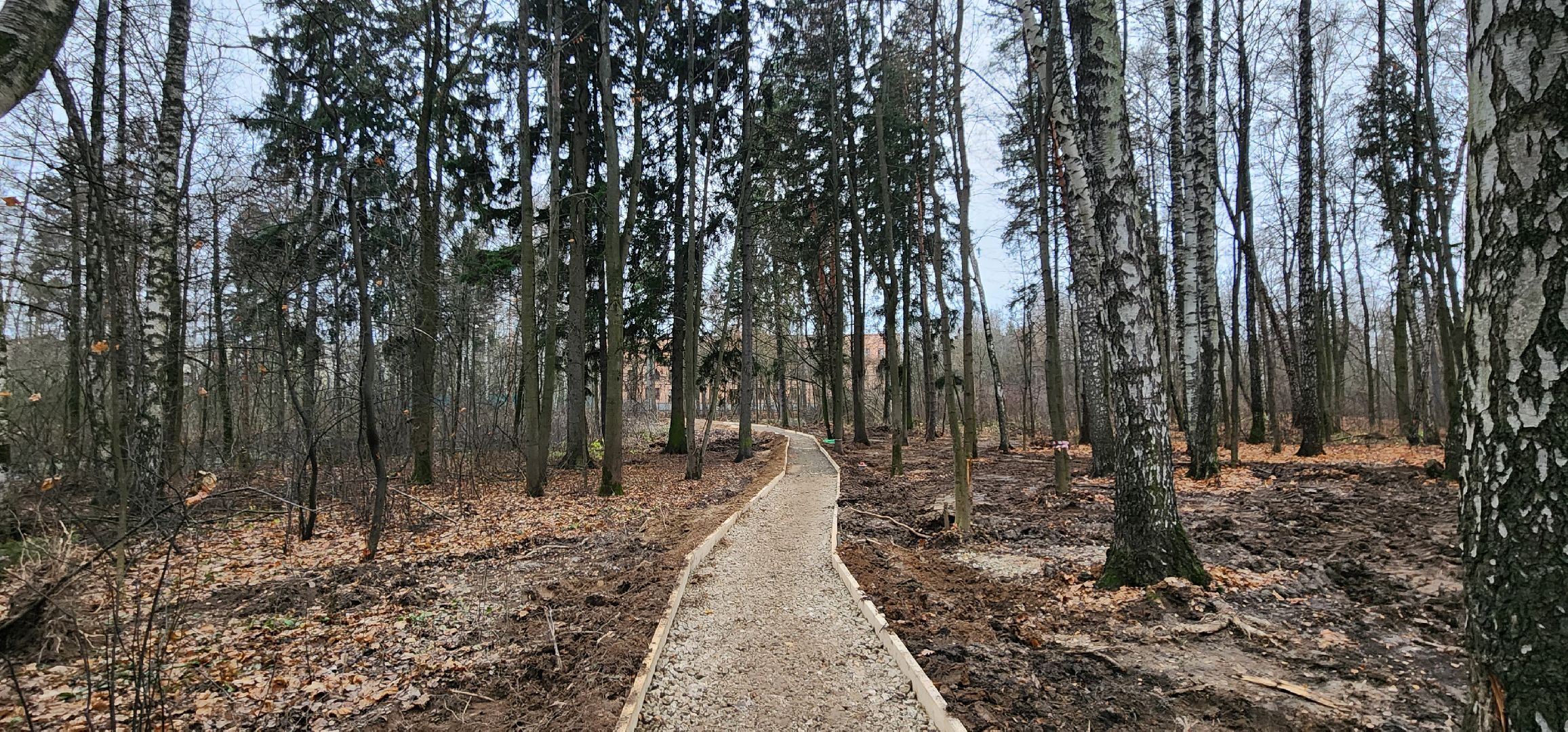Химки, Благоустройство ,  формирование комфортной городской среды, Школы,