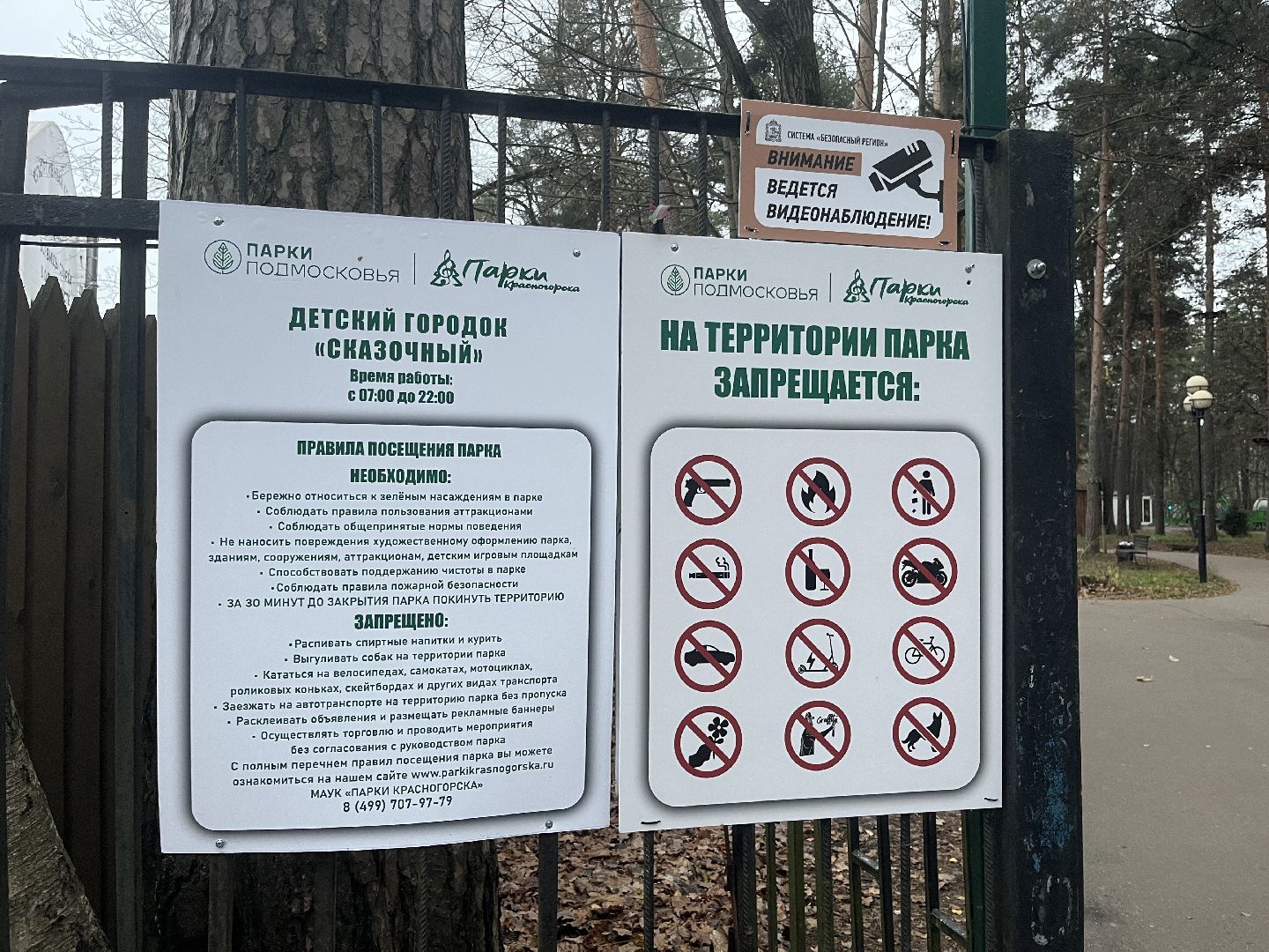 красногорск, ёлка,