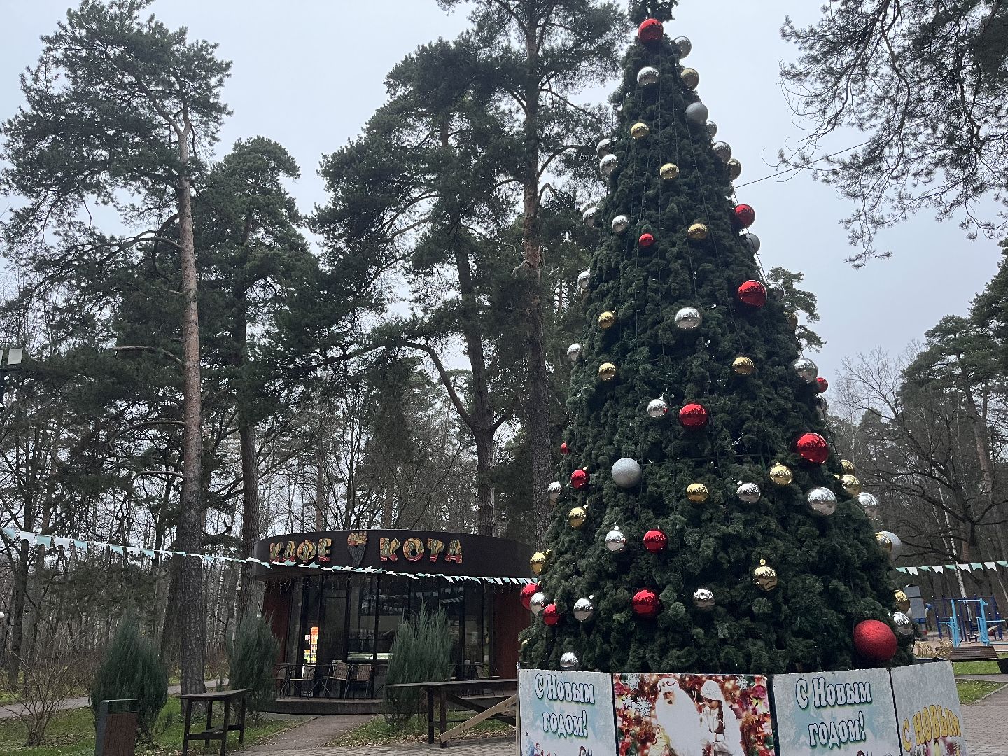 красногорск, ёлка,