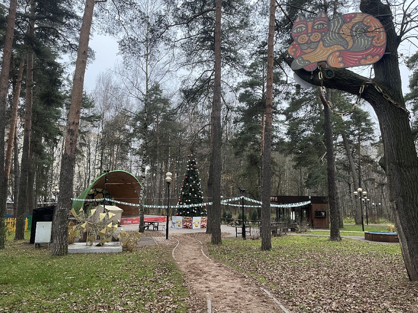 красногорск, ёлка,