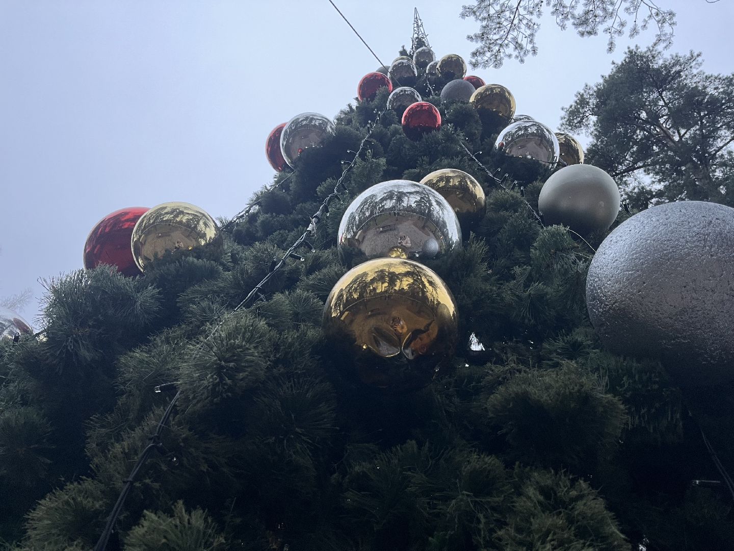 красногорск, ёлка,