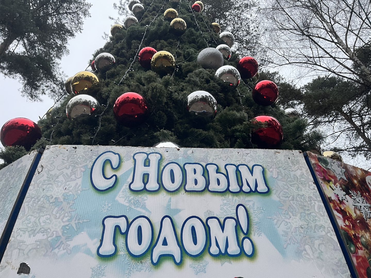 красногорск, ёлка,