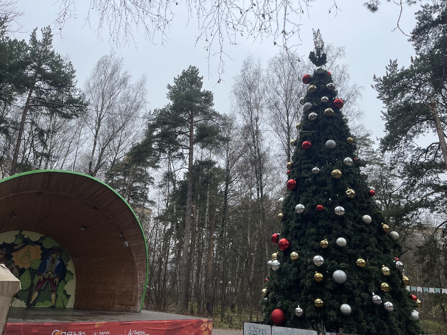 красногорск, ёлка,