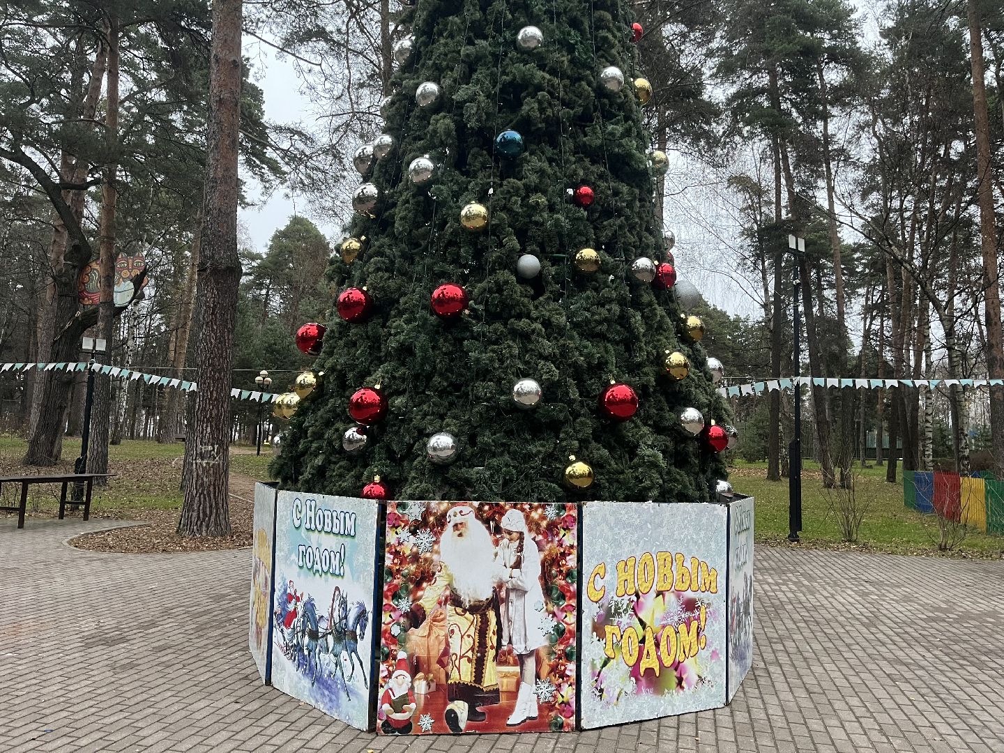 красногорск, ёлка,