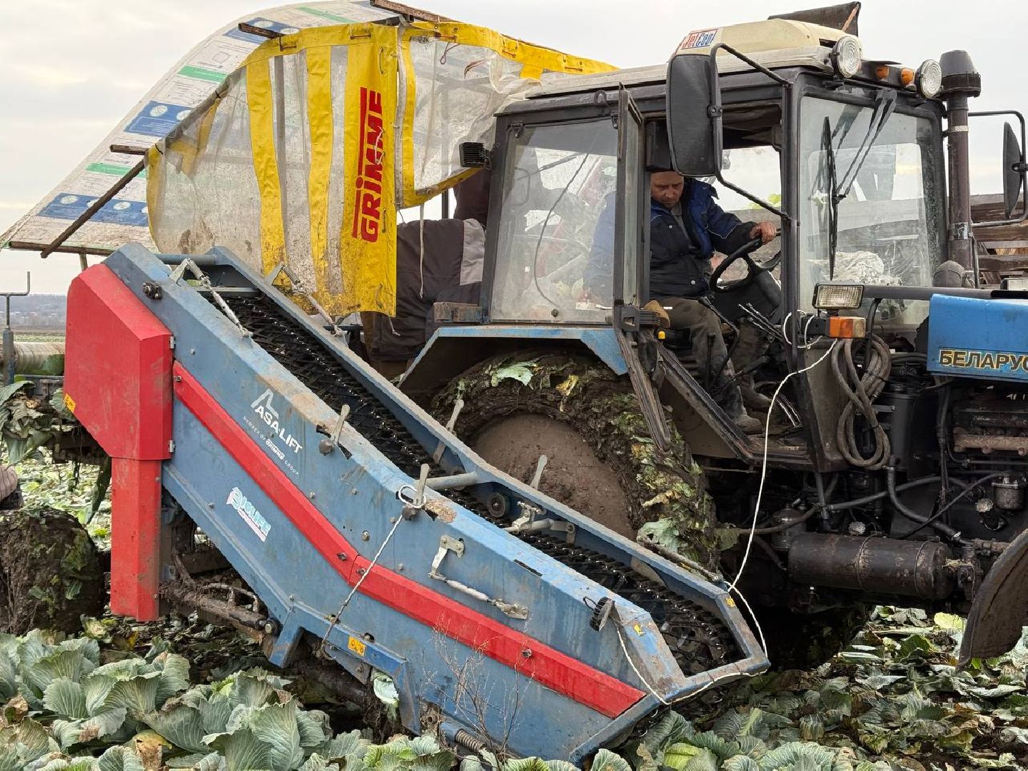 луховицы, сбор урожая, сельское хозяйство,